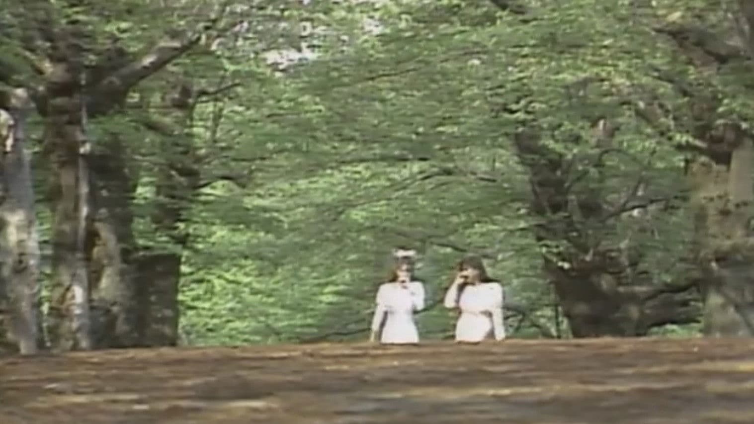 Red Account 2: Dirty Play in a Closed Room (Hotel Lady Murder Case)