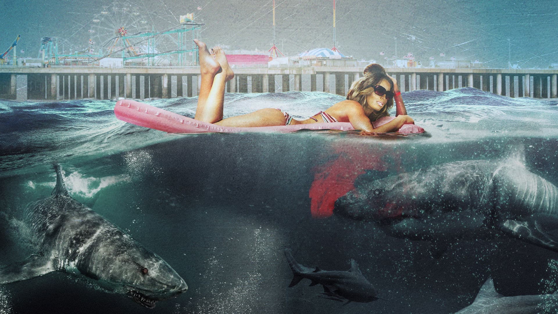 Jersey Shore Shark Attack