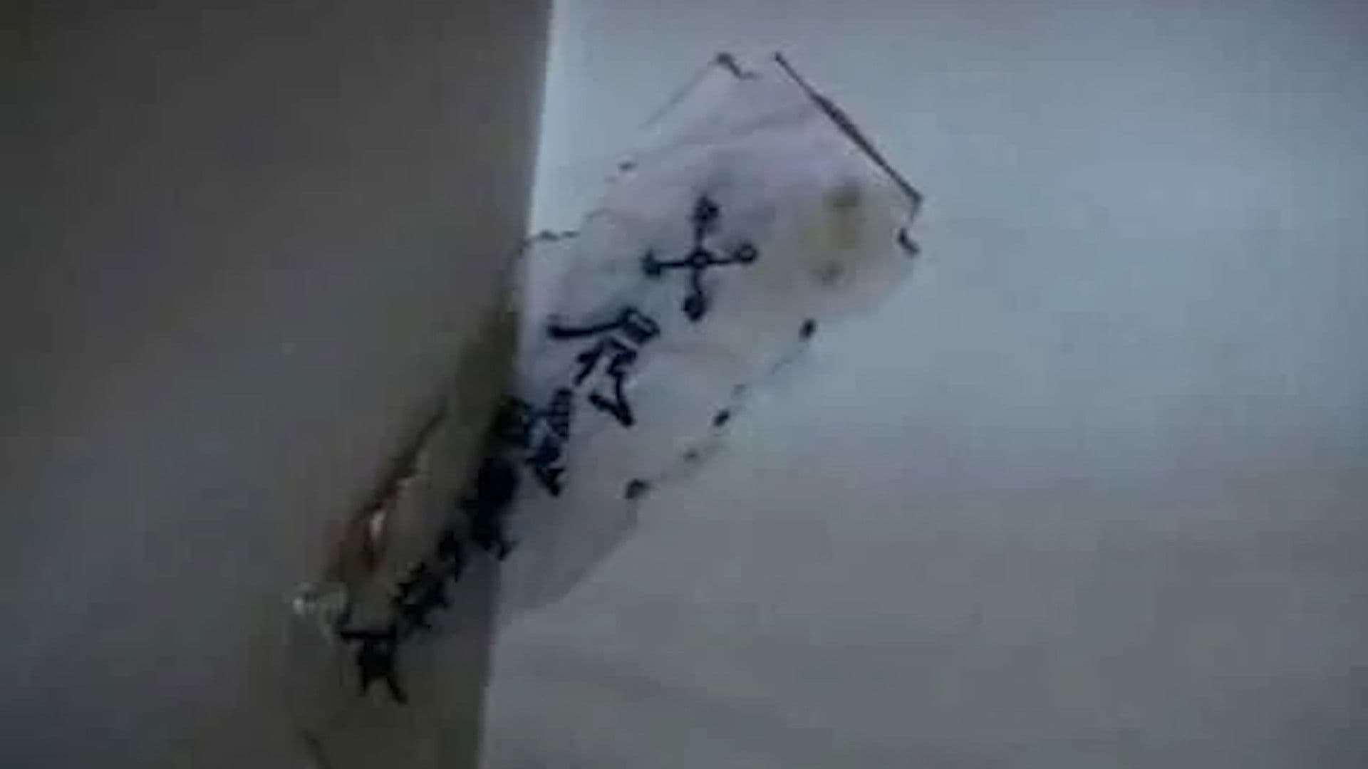 Actually Happened! Most Terrifying Psychic Phenomena. Psychic Research Team Report. Relived.