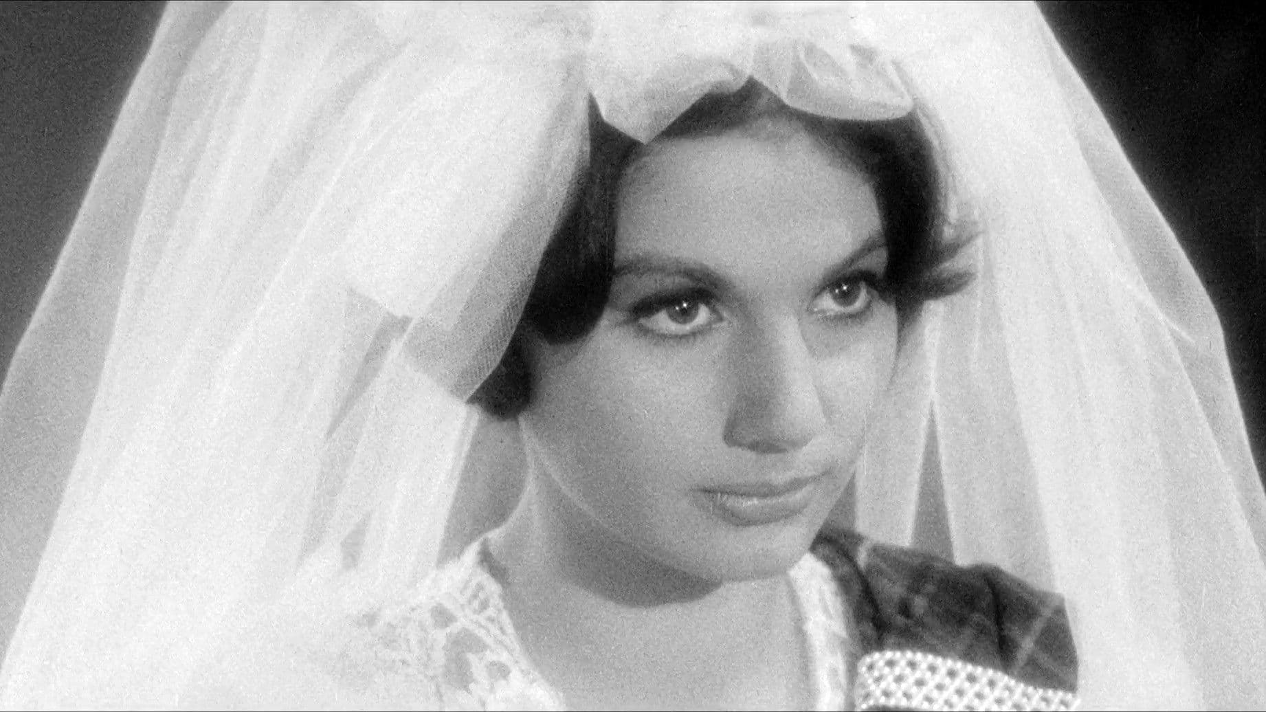 Lady Morgan's Vengeance