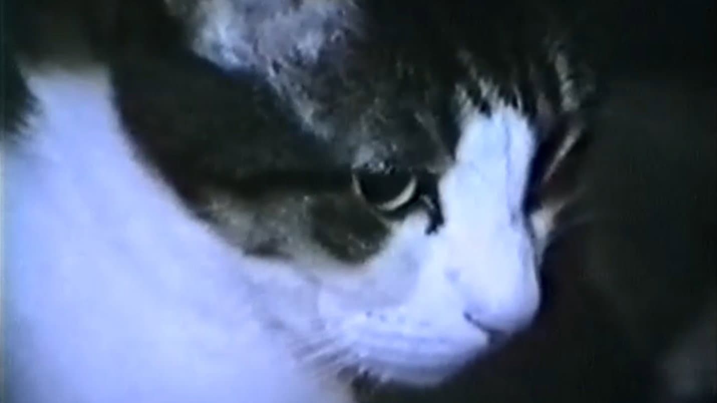 Lisa's Nightmares 3