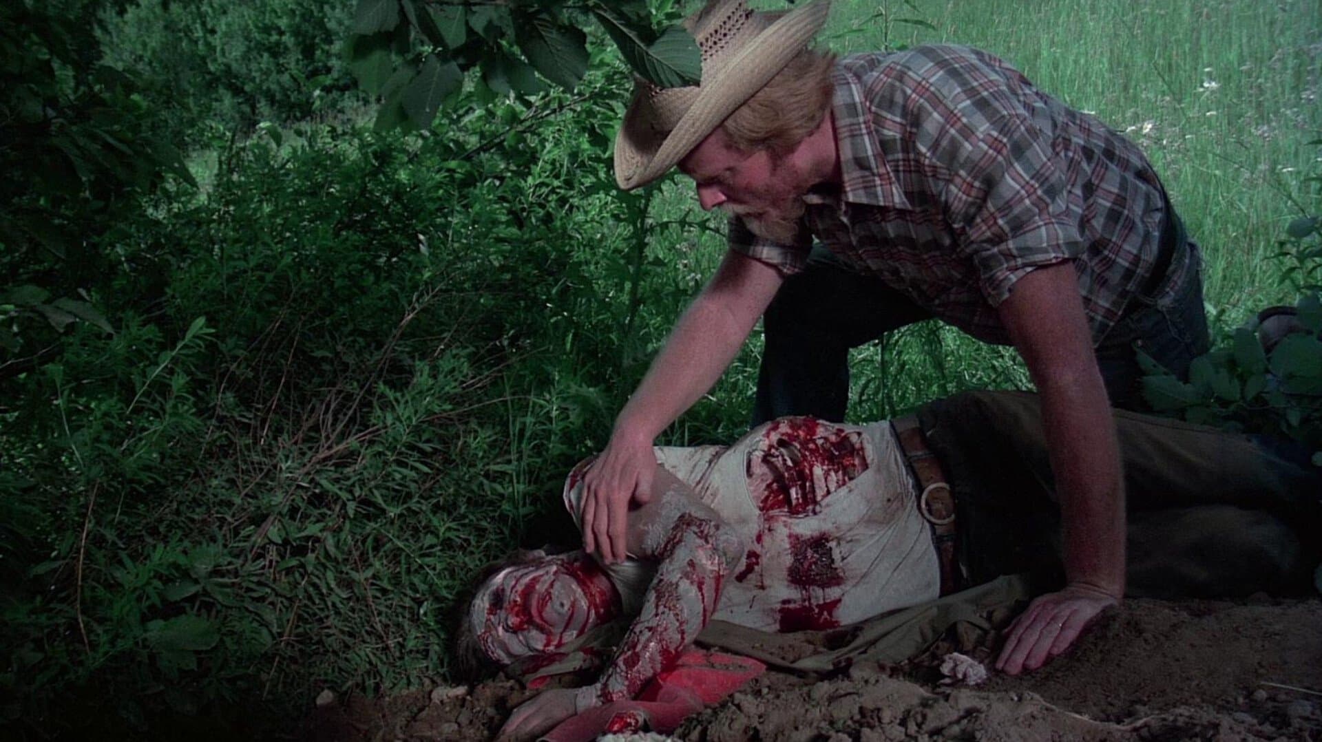 The Giant Spider Invasion