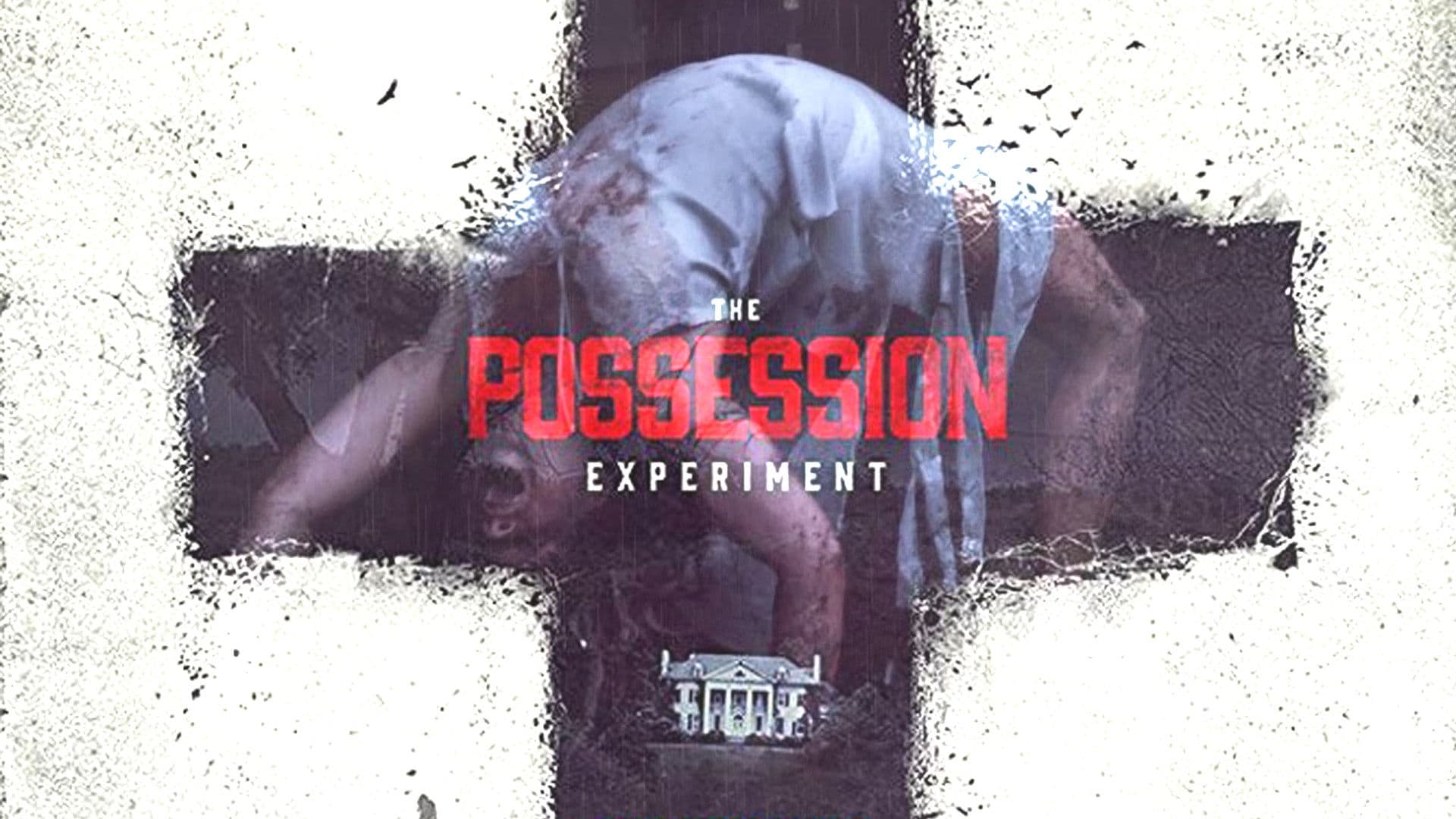 The Possession Experiment