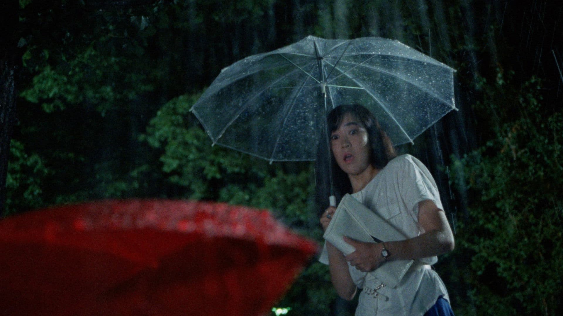 Love Letter in the Sand