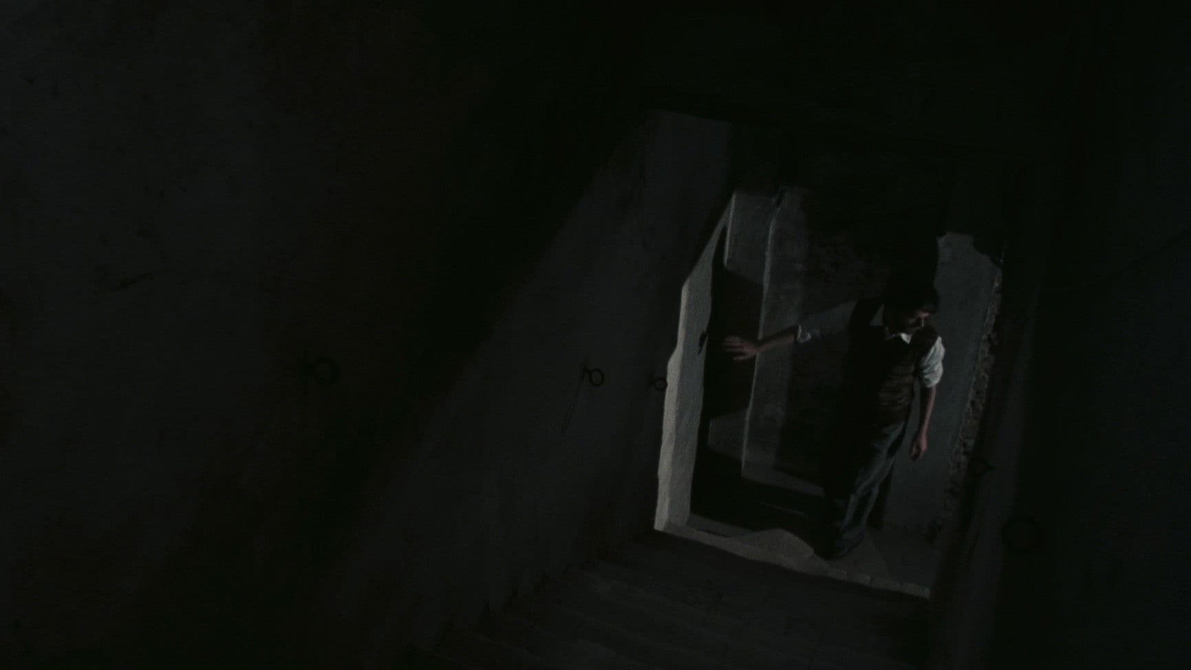 The House with Laughing Windows