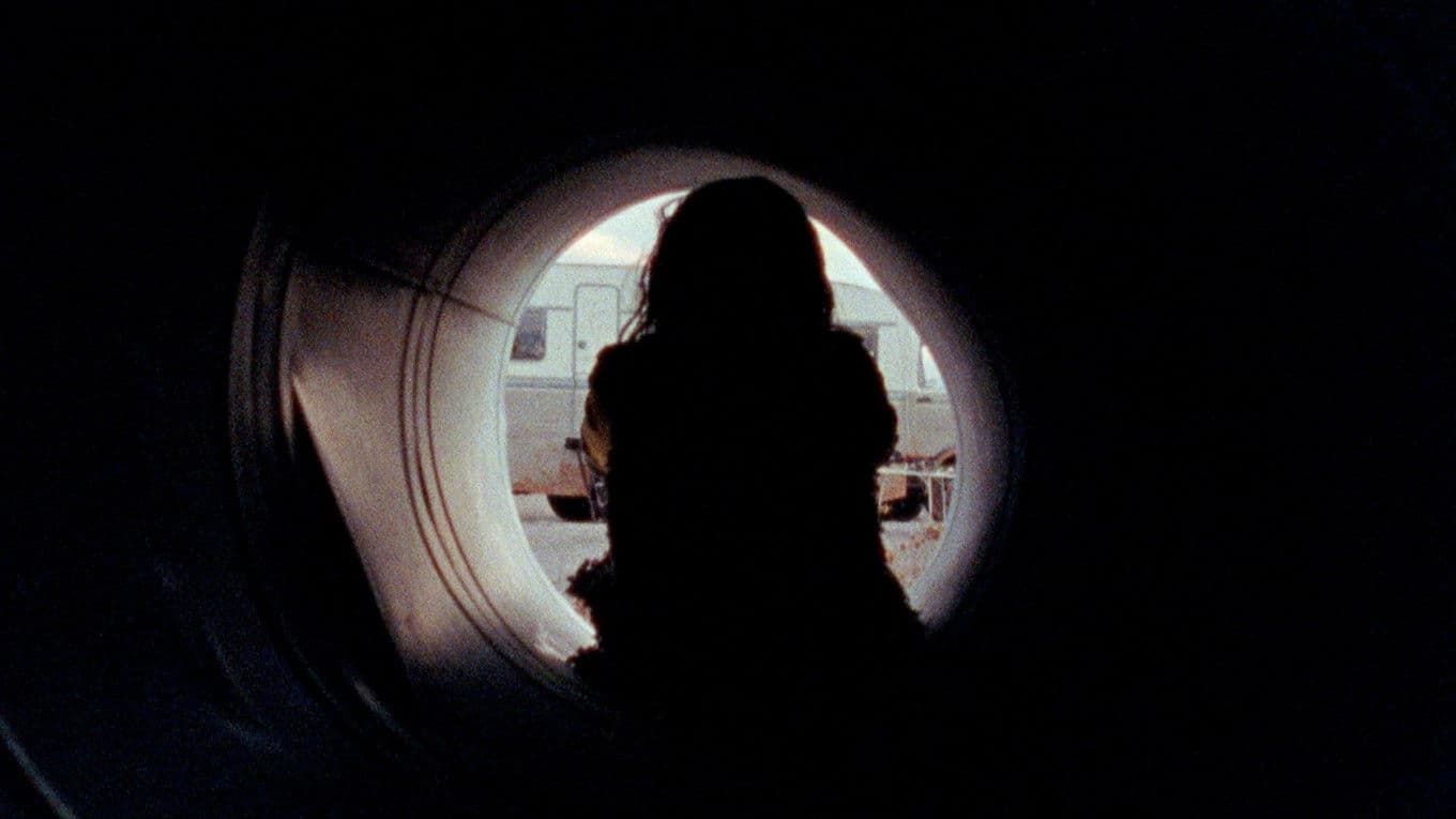 The Sleep of the Dogs