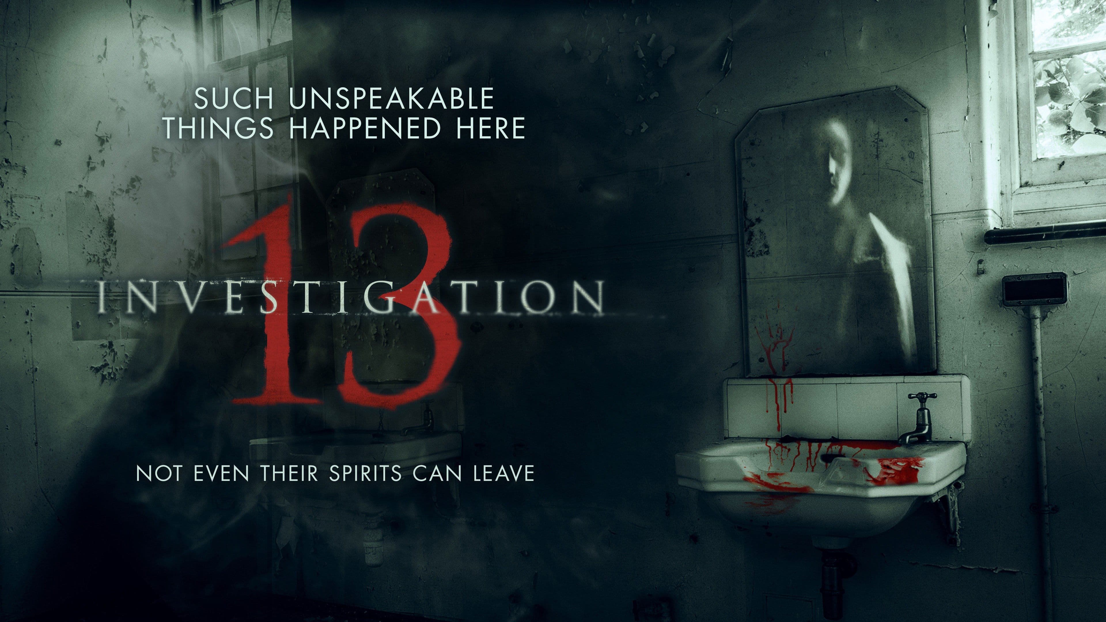 Investigation 13