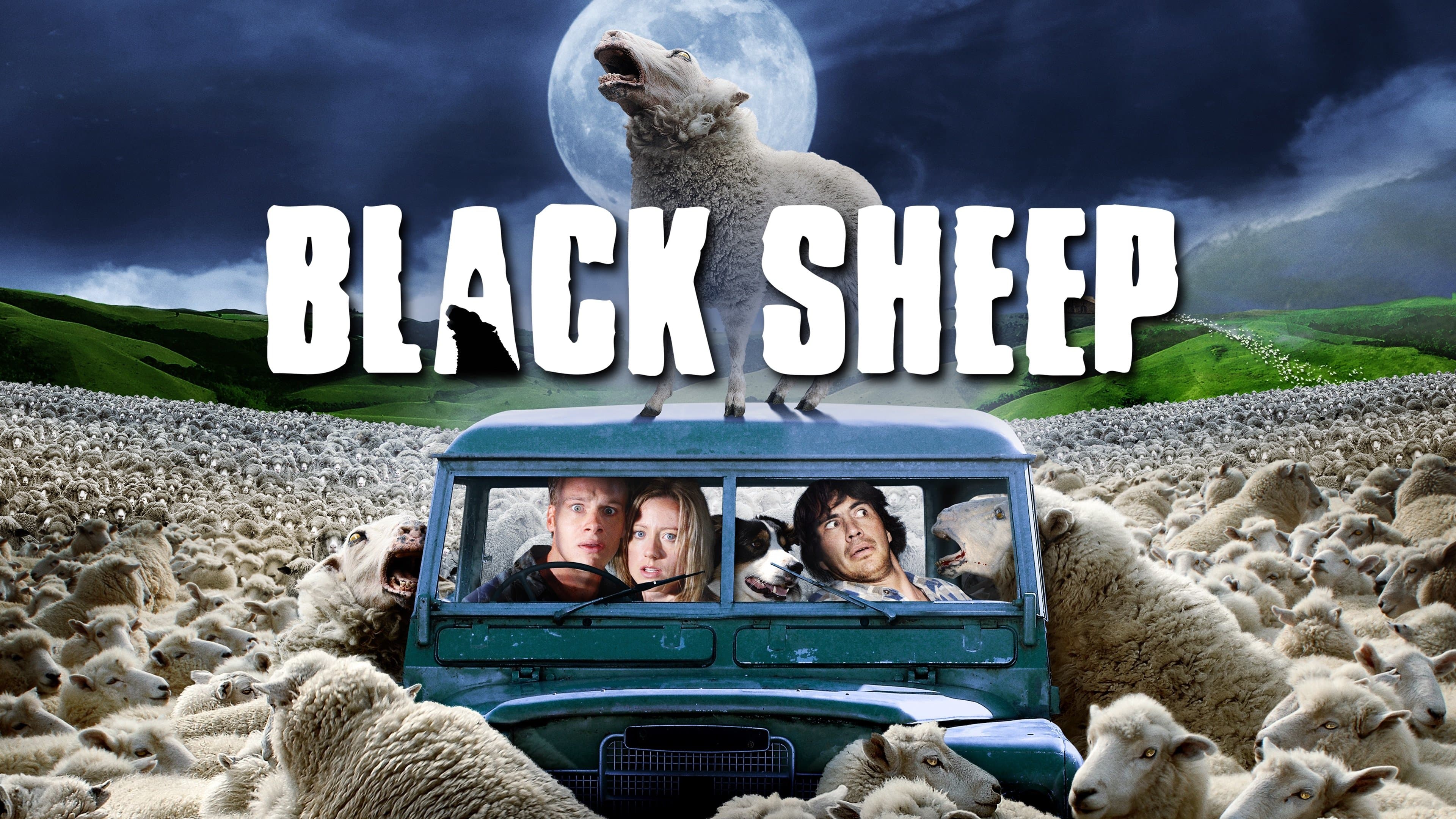 Black Sheep