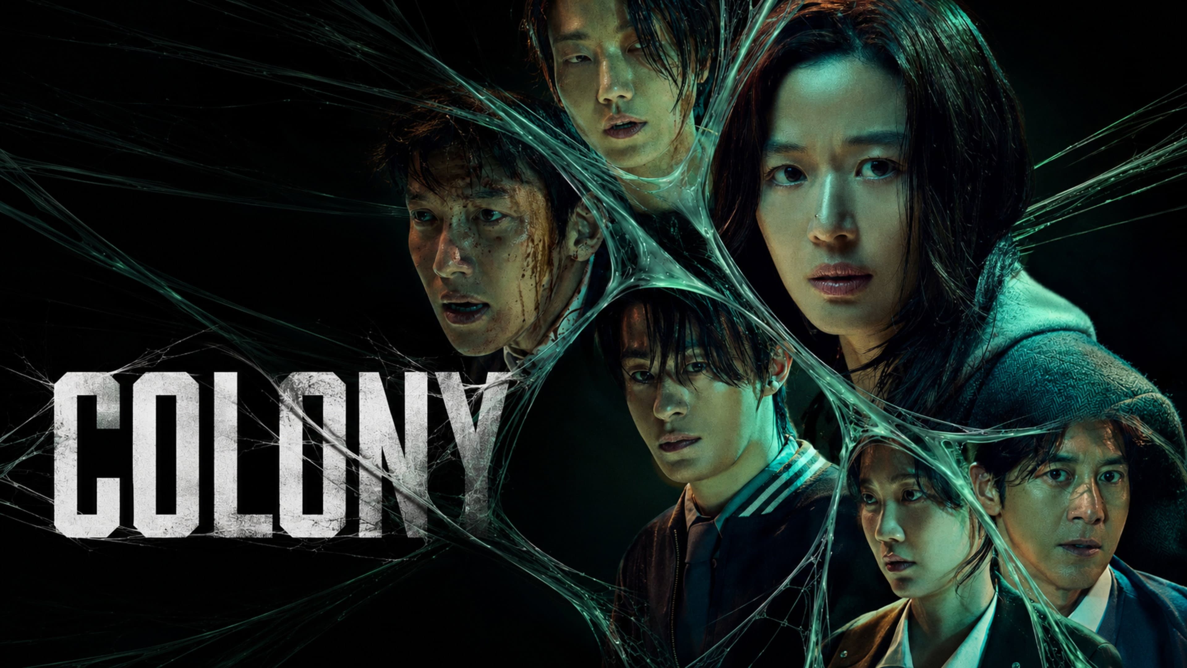 Colony
