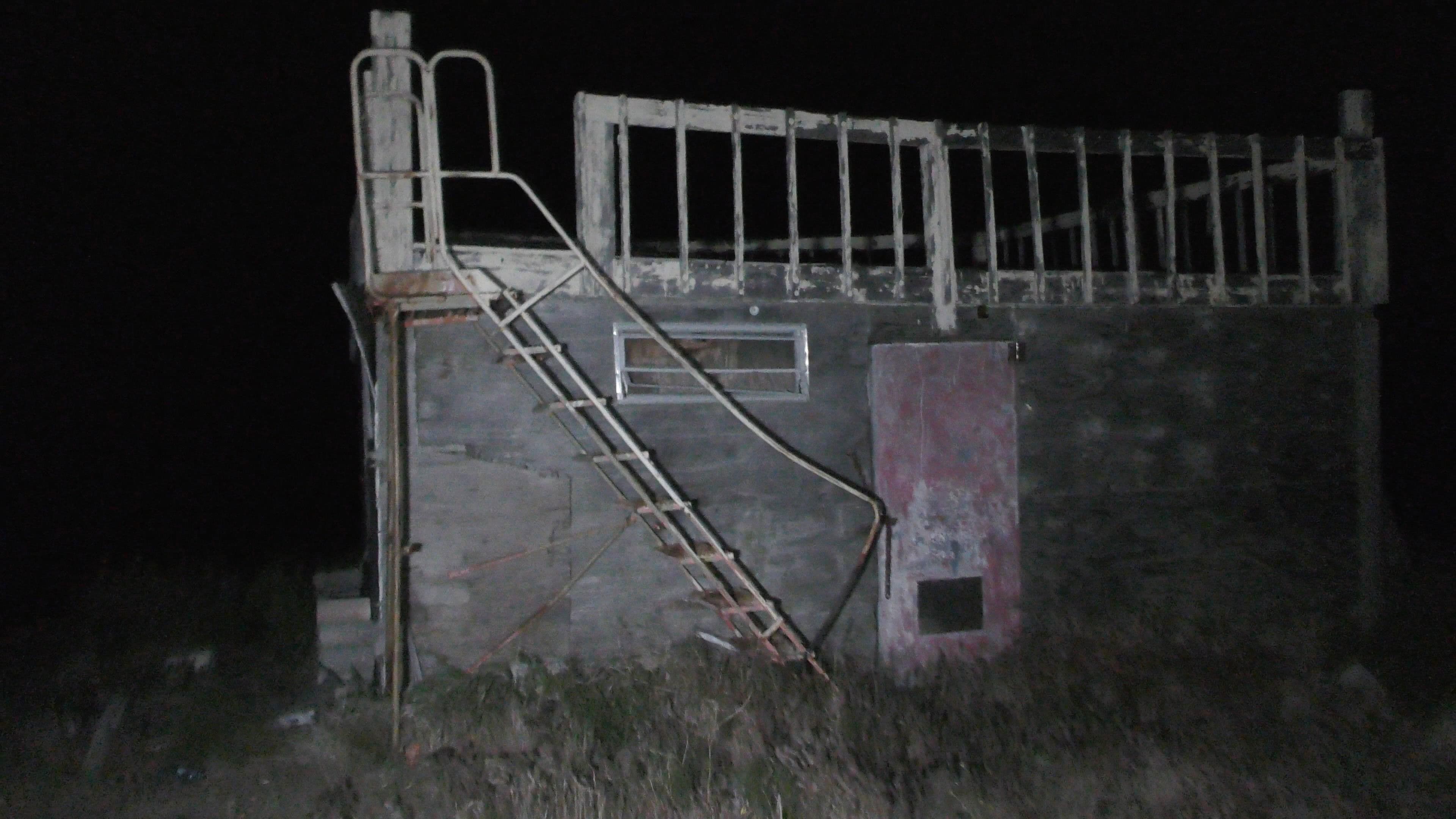 The Wilderness Tapes: Volume One