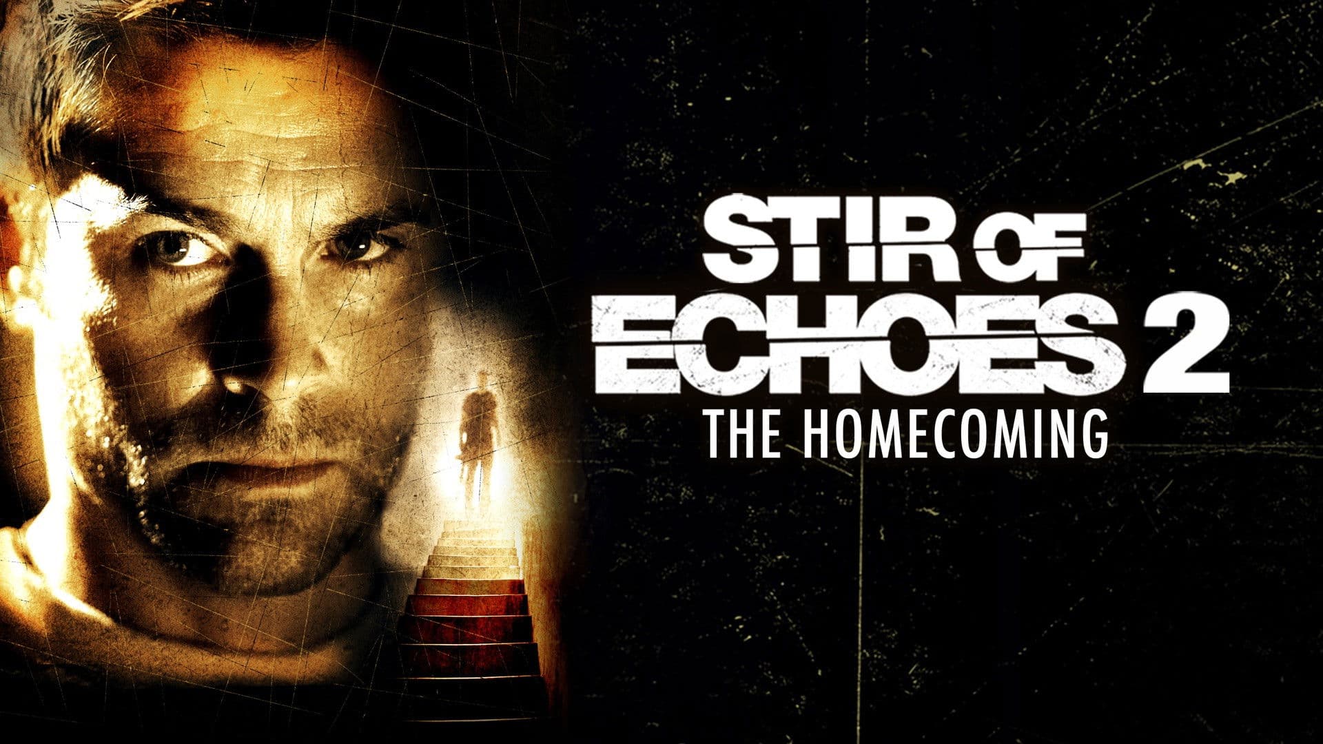 Stir of Echoes: The Homecoming