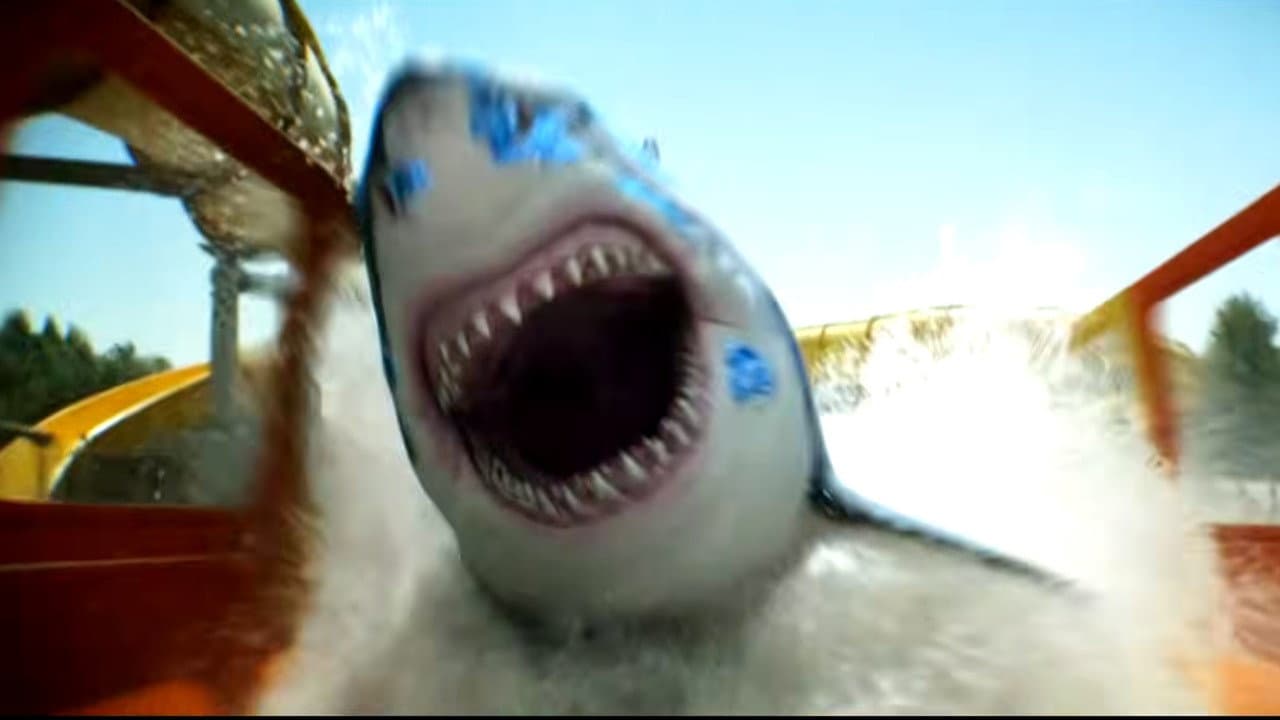 Water Park Shark