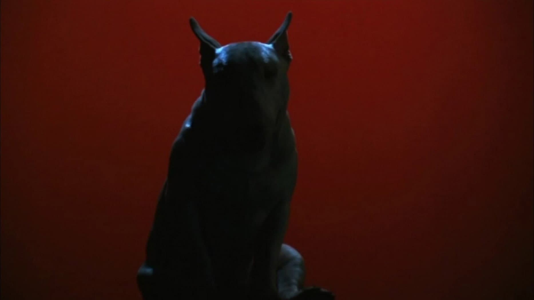 Baxter