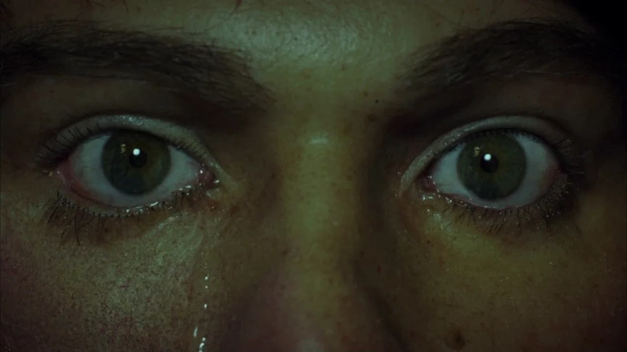 House of Wax
