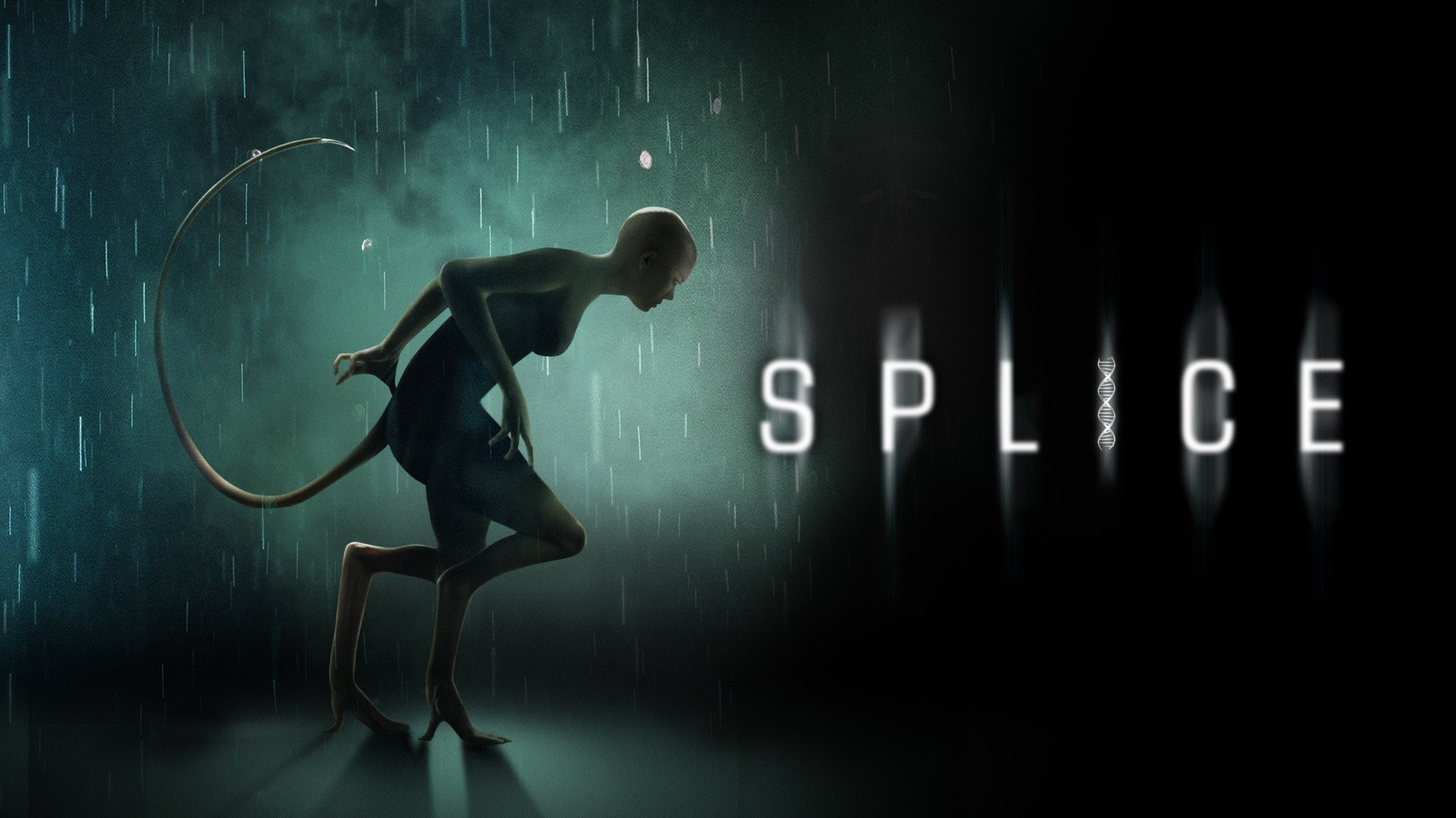 Splice