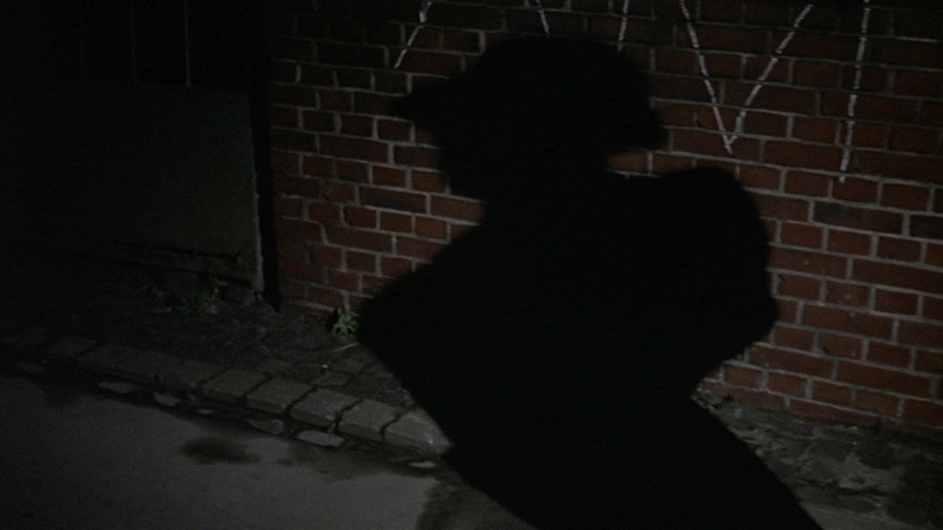 Tenderness of the Wolves