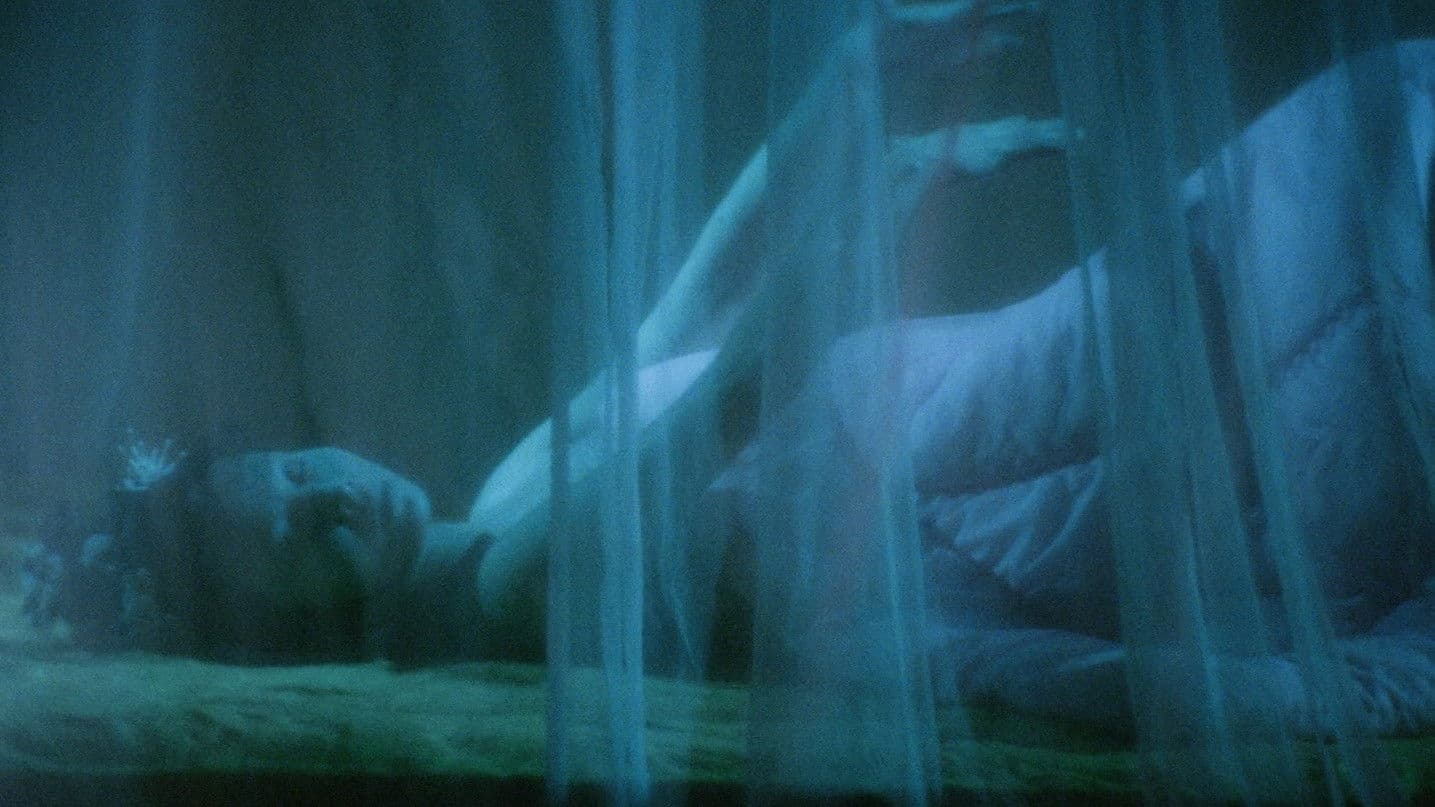 The Fake Ghost Catchers