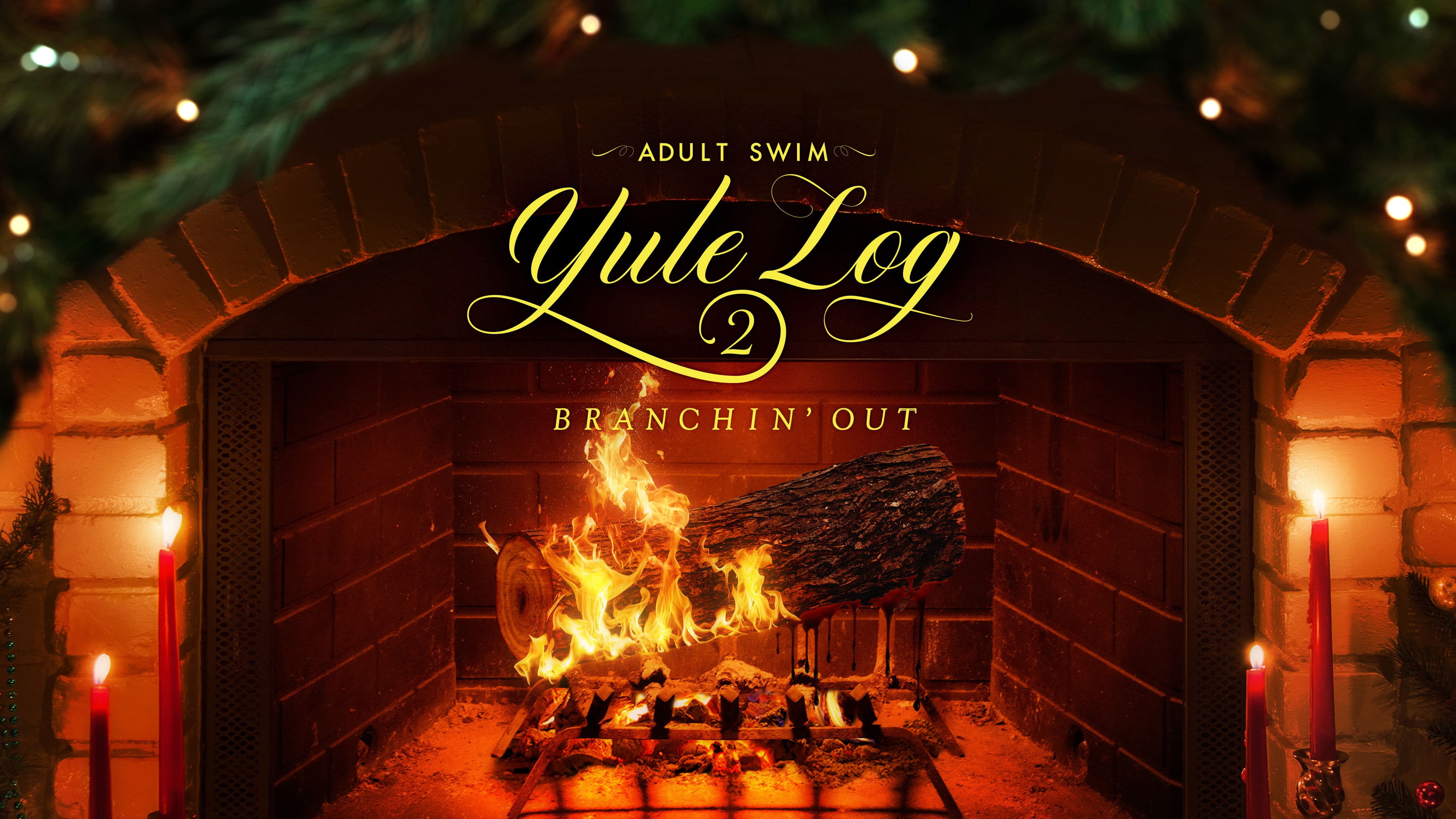 Adult Swim Yule Log 2: Branchin' Out