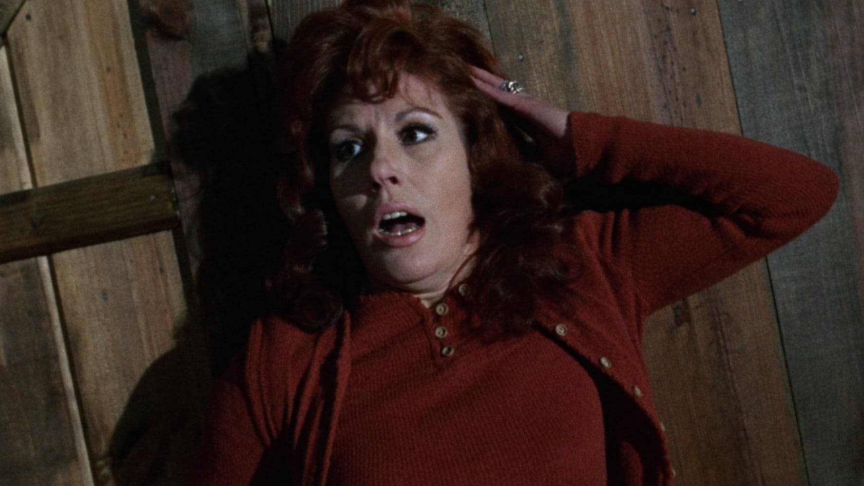 The Vampires' Night Orgy