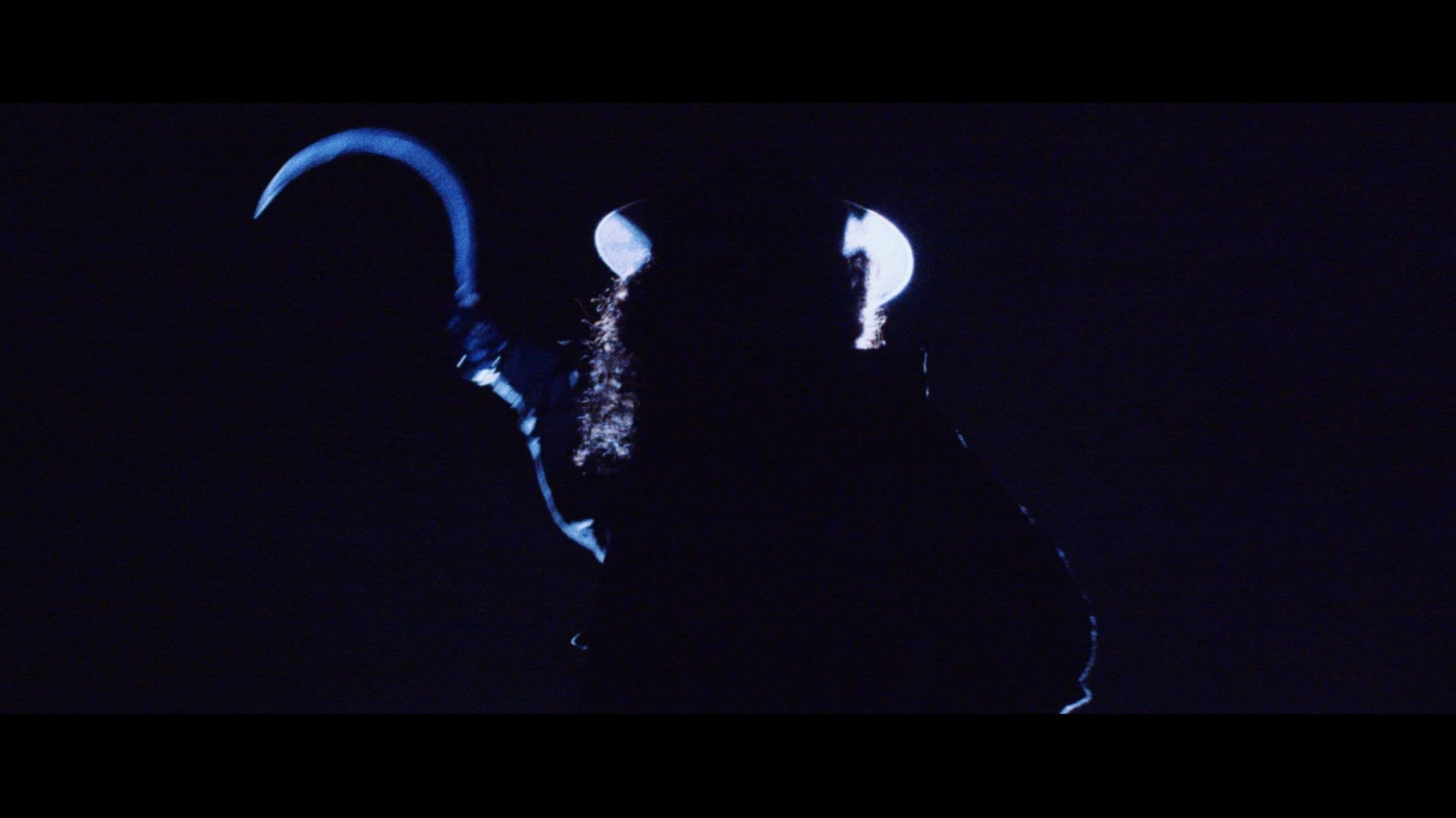 The Five Fingers of a Dog