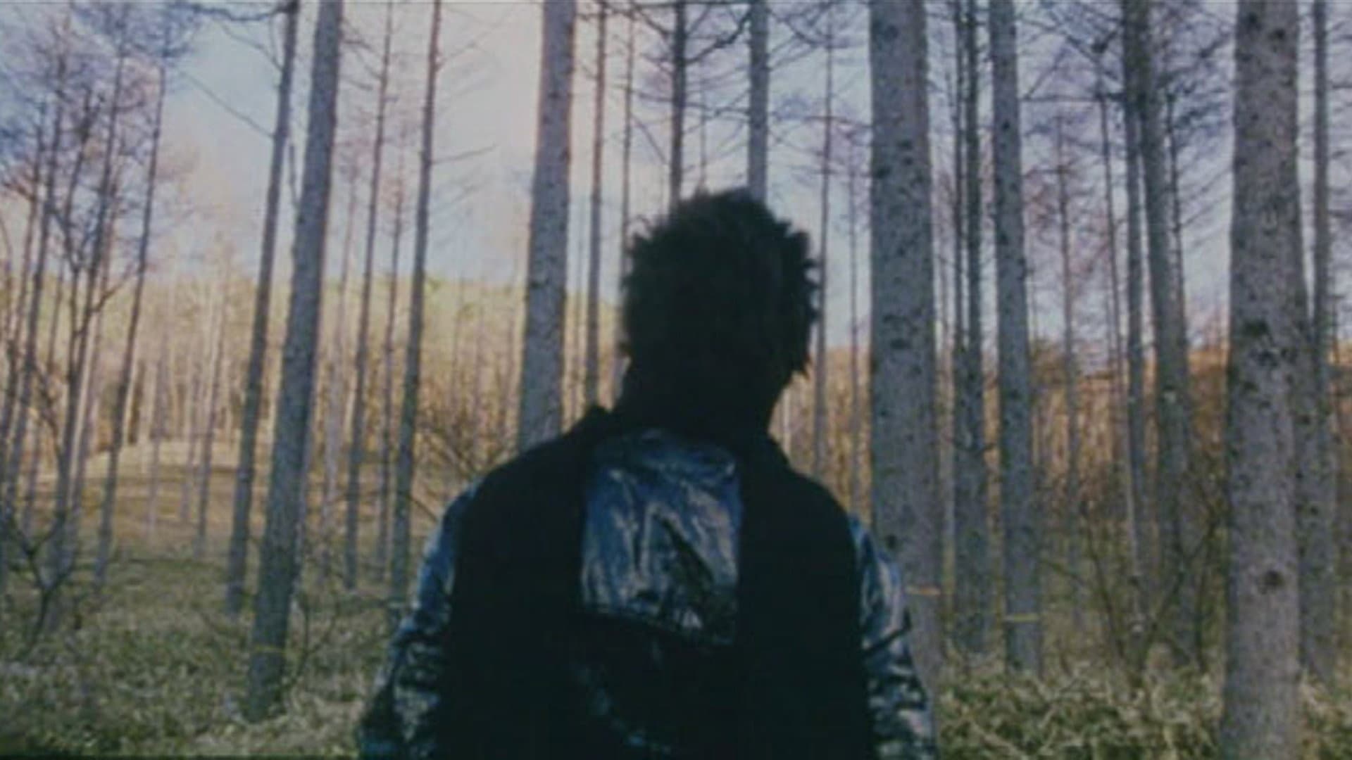 Mike Yokohama: A Forest with No Name