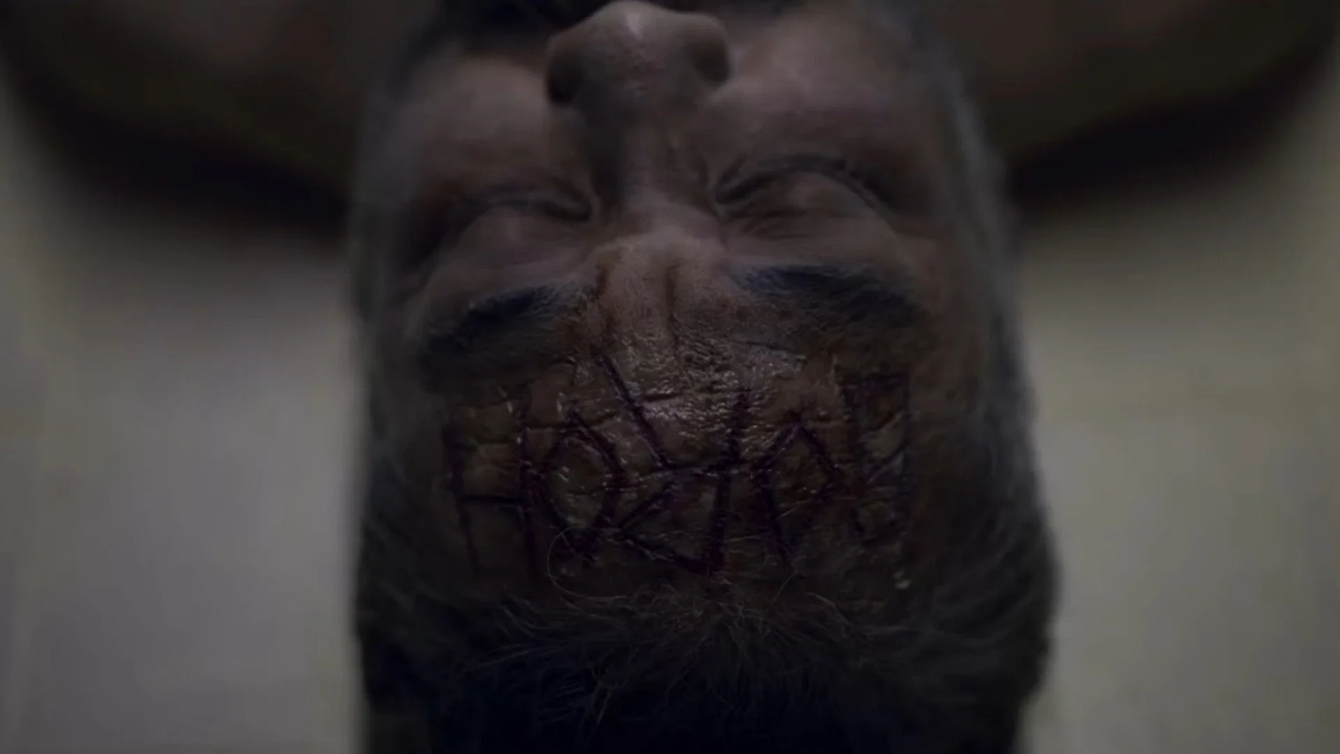 The Hole, 309 Days to the Bloodiest Tragedy