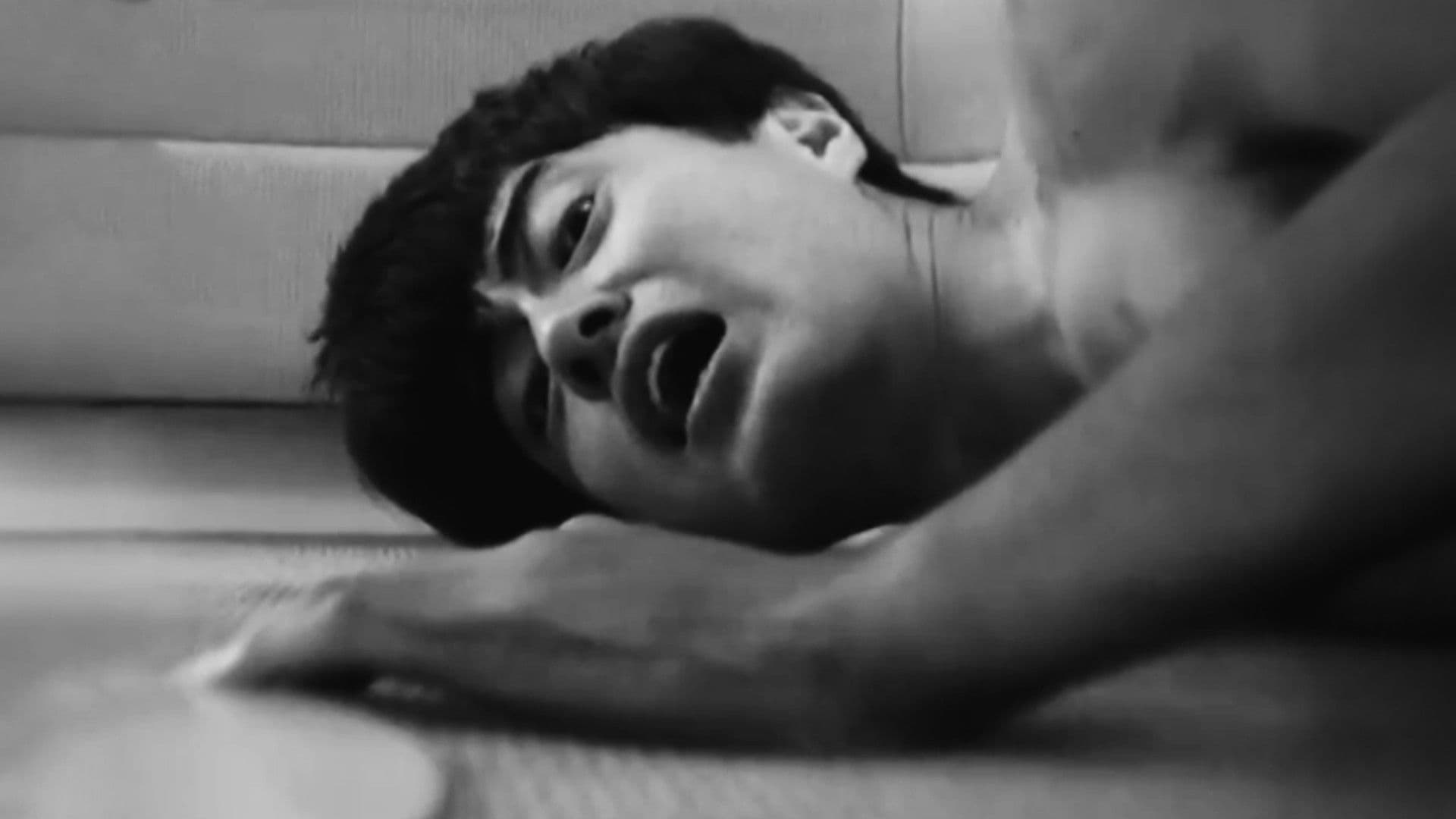 A Garden Without Birds