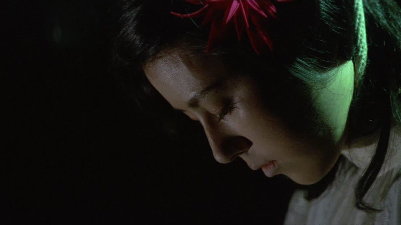 Star of David: Beauty Hunting