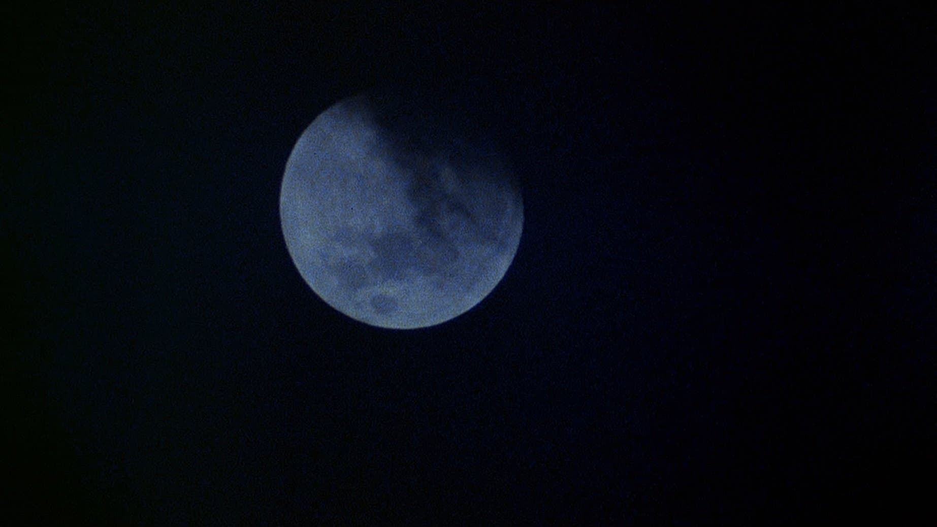 An American Werewolf in London