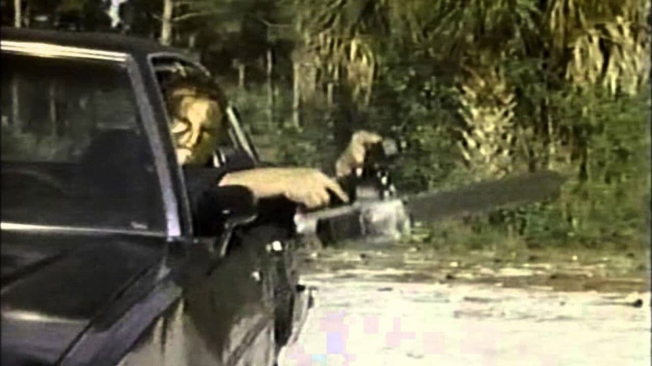 Truth or Dare? - A Critical Madness