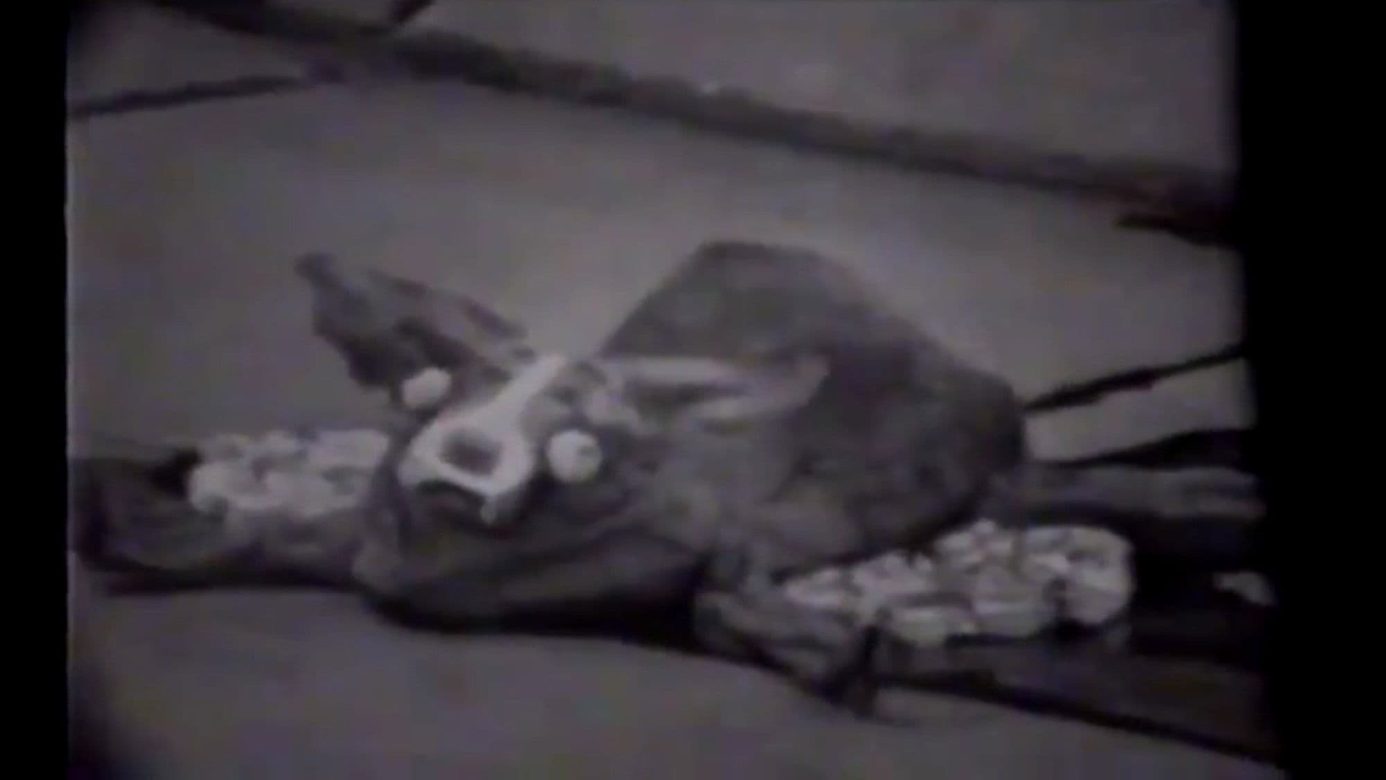 Zombie! vs. Mardi Gras