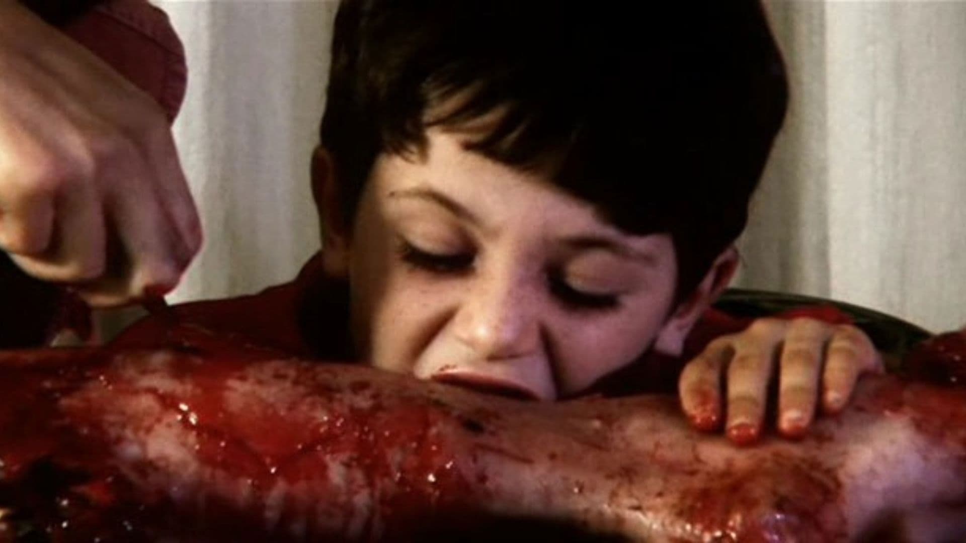 The Last House in the Woods