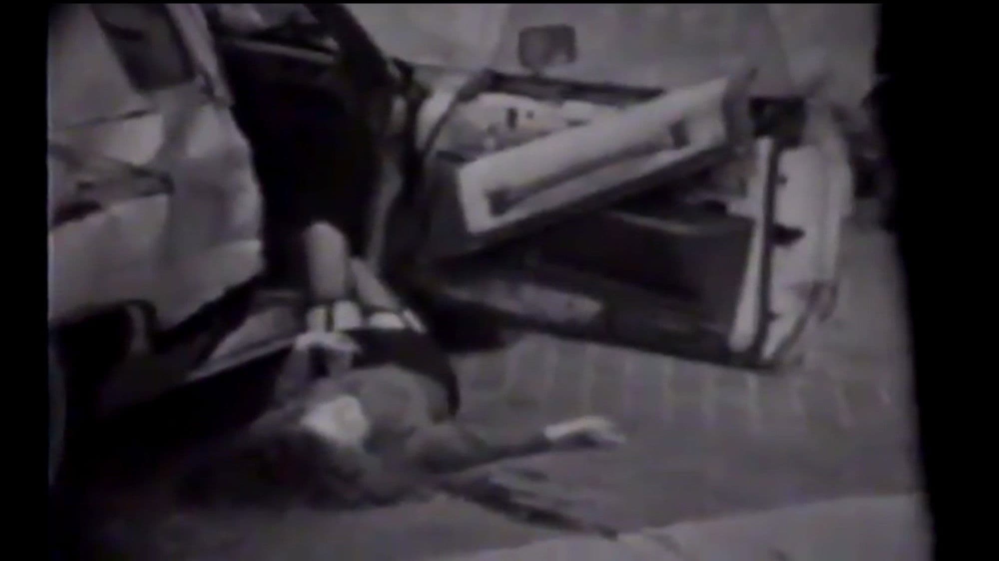 Zombie! vs. Mardi Gras