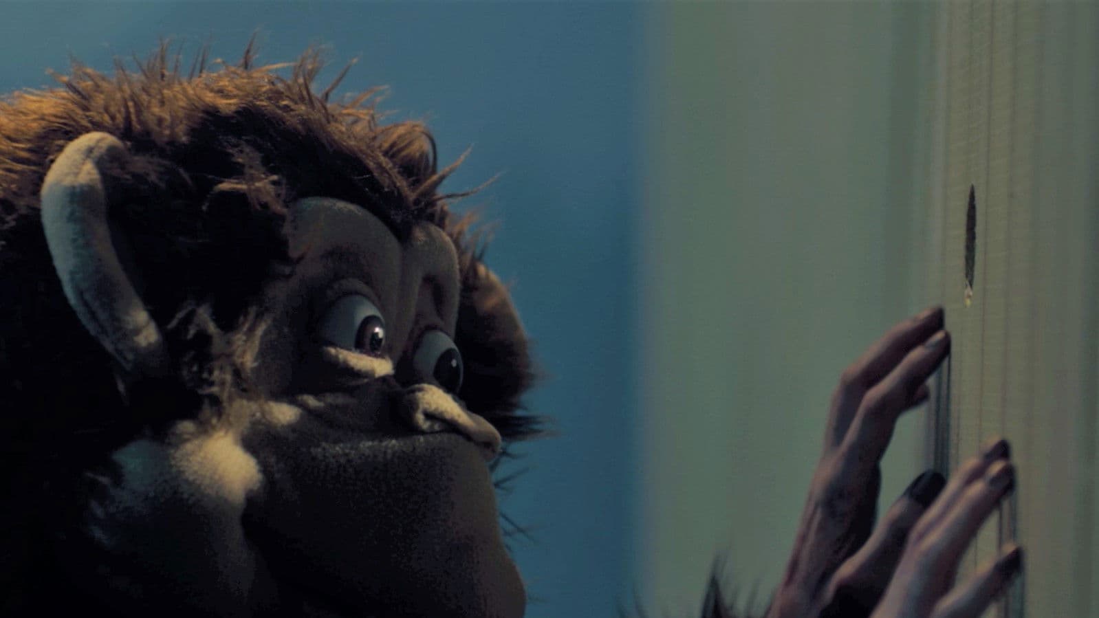 Monkey’s Magic Merry Go Round