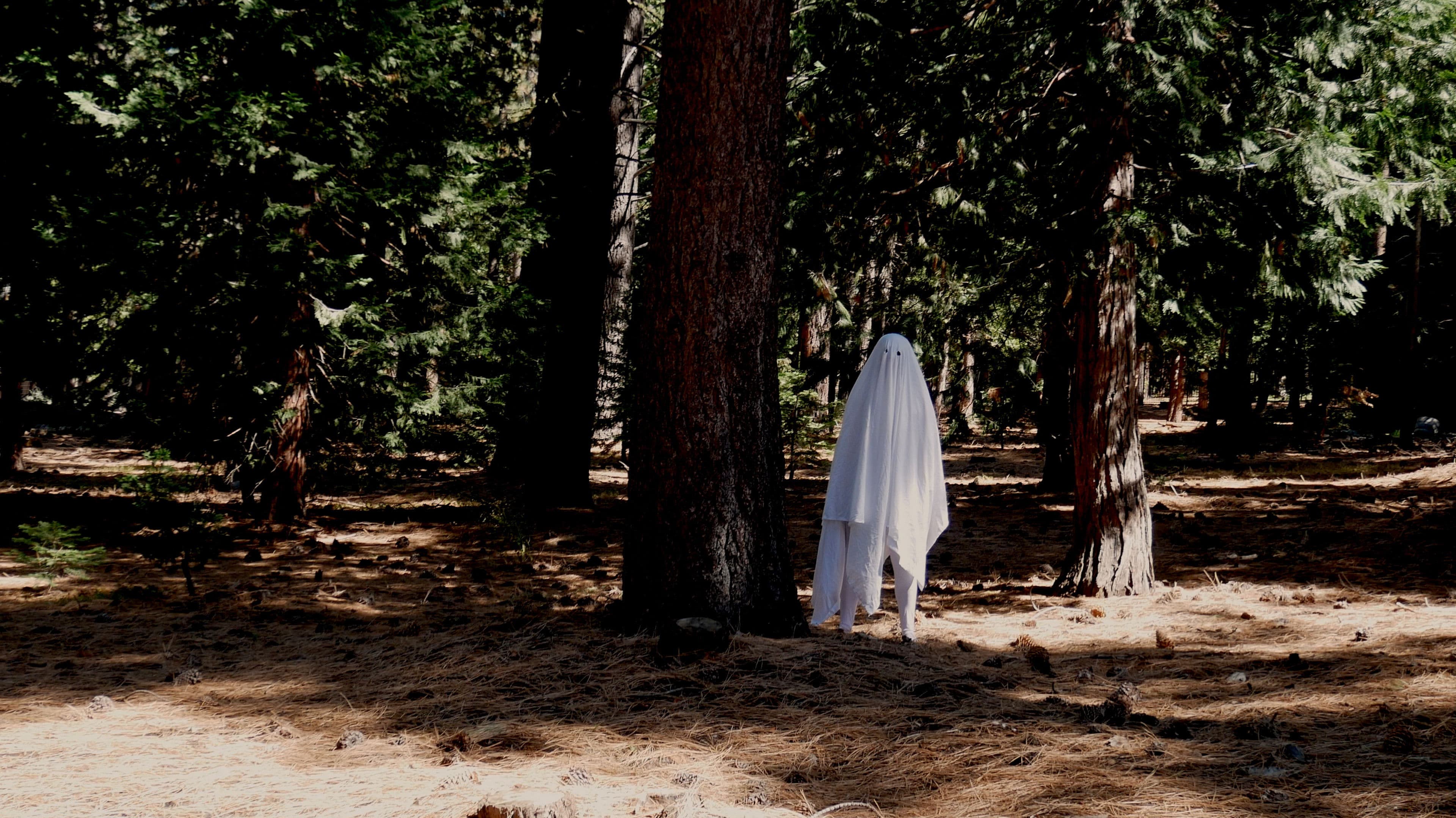 This House Is Totally Haunted