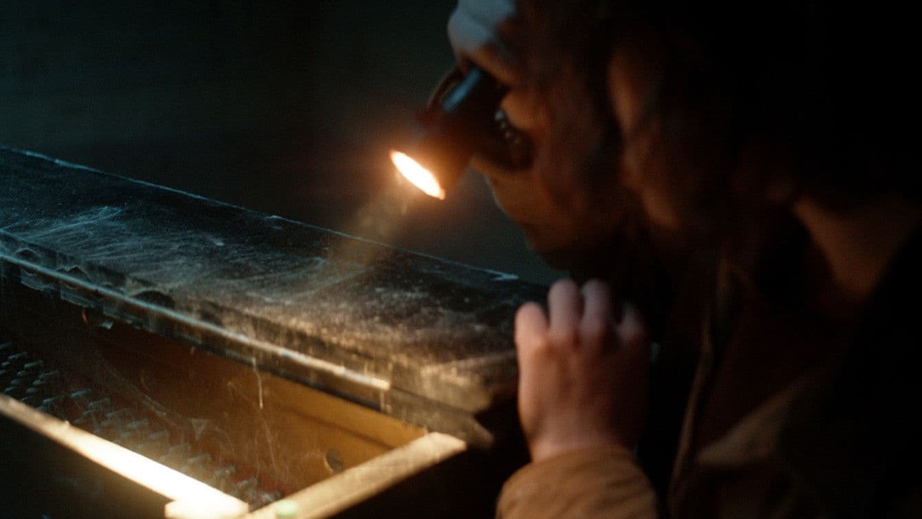 Whisper of the Witch