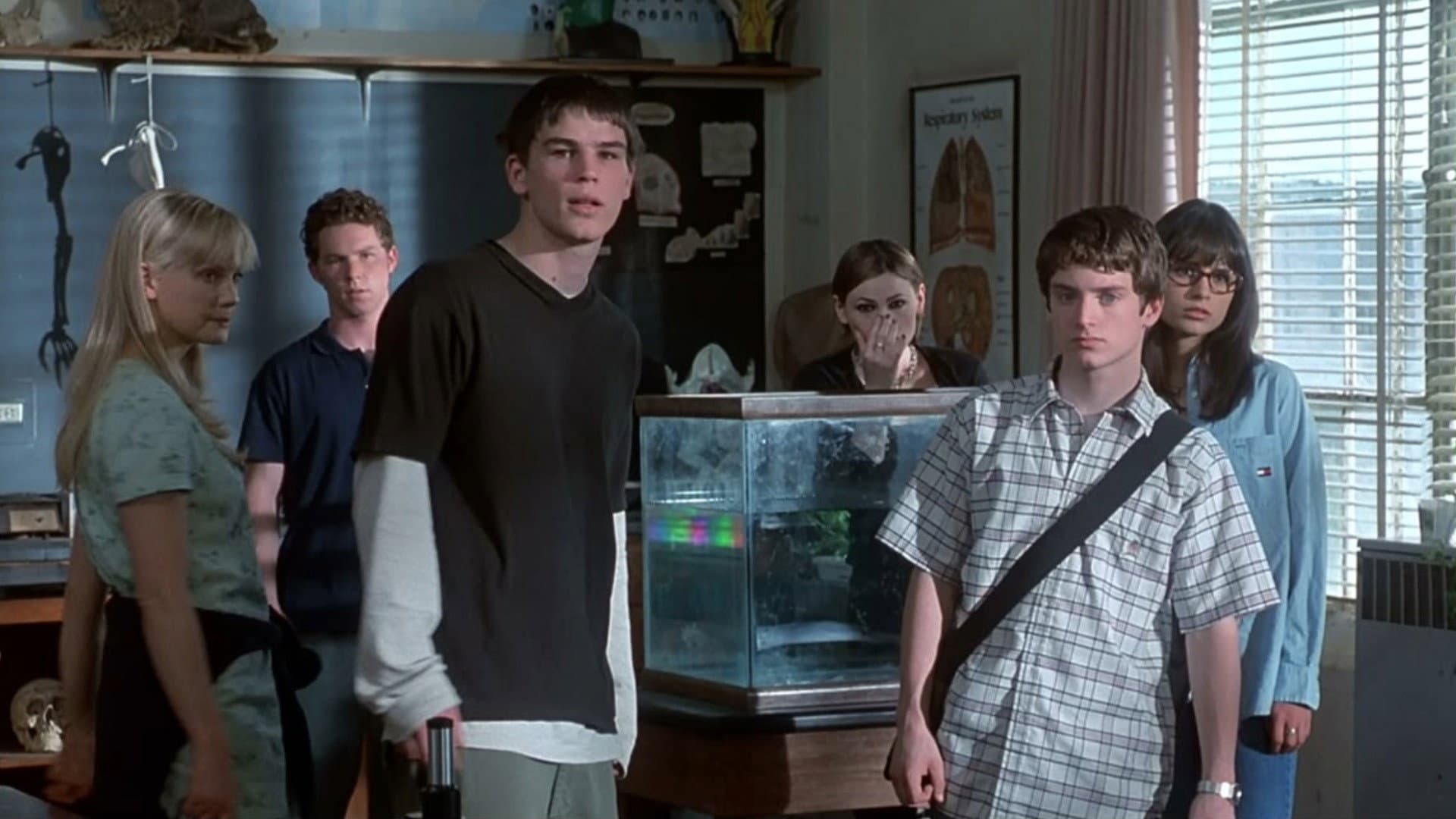 The Faculty