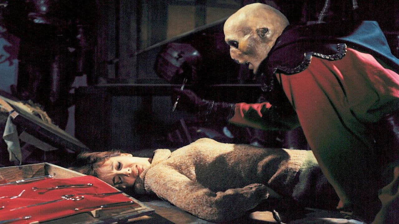 The Virgin of Nuremberg