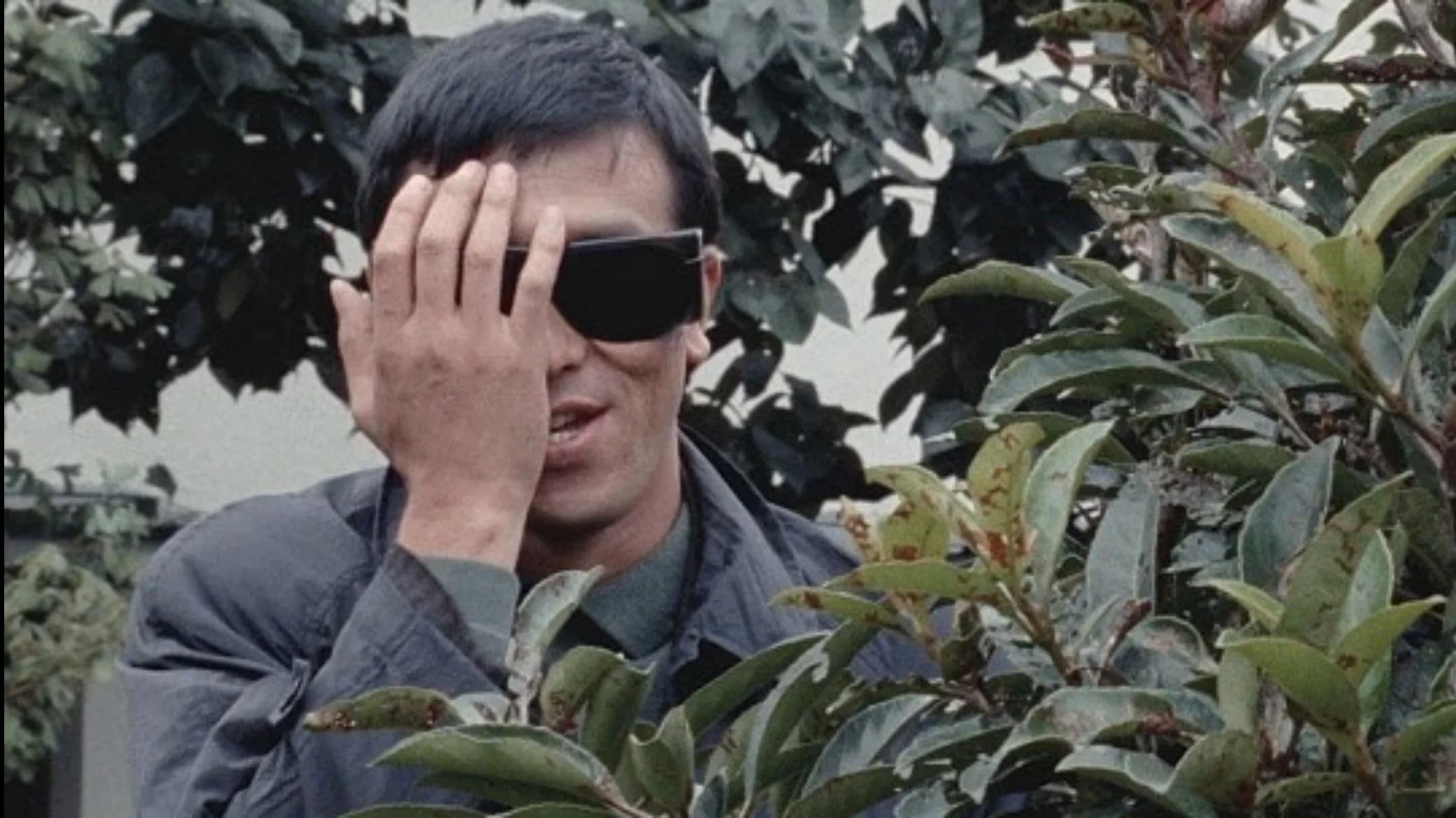 Cyclops