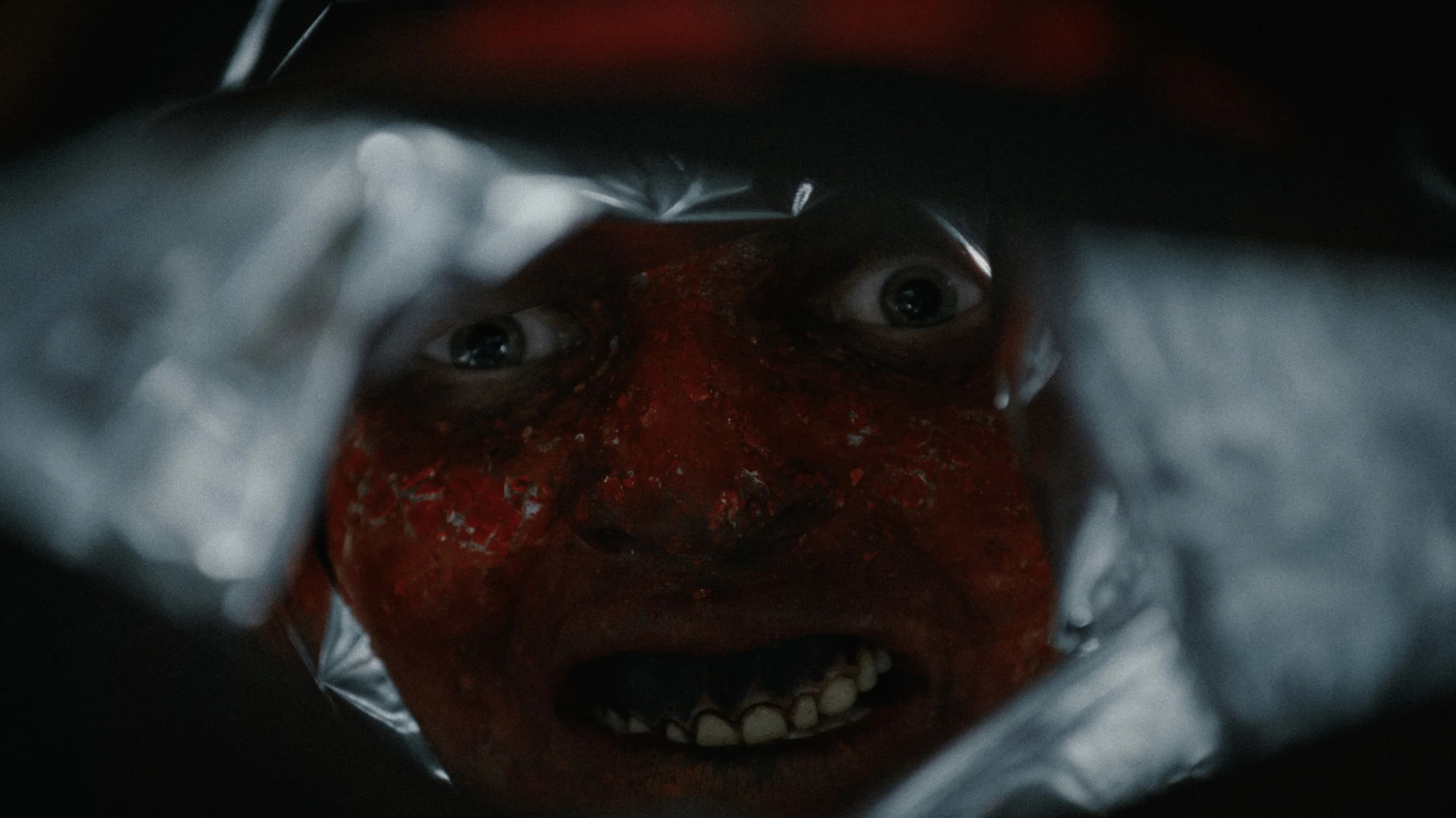 Man at the Bottom of the Bag