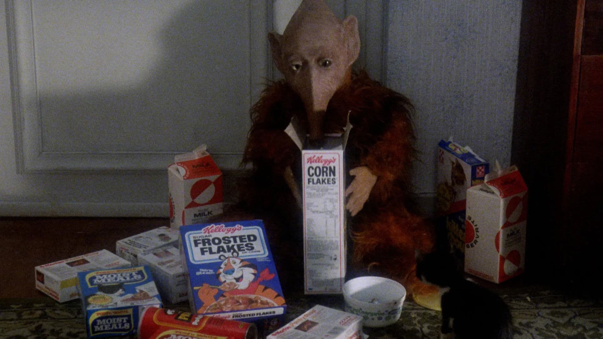 Extraterrestrial Visitors