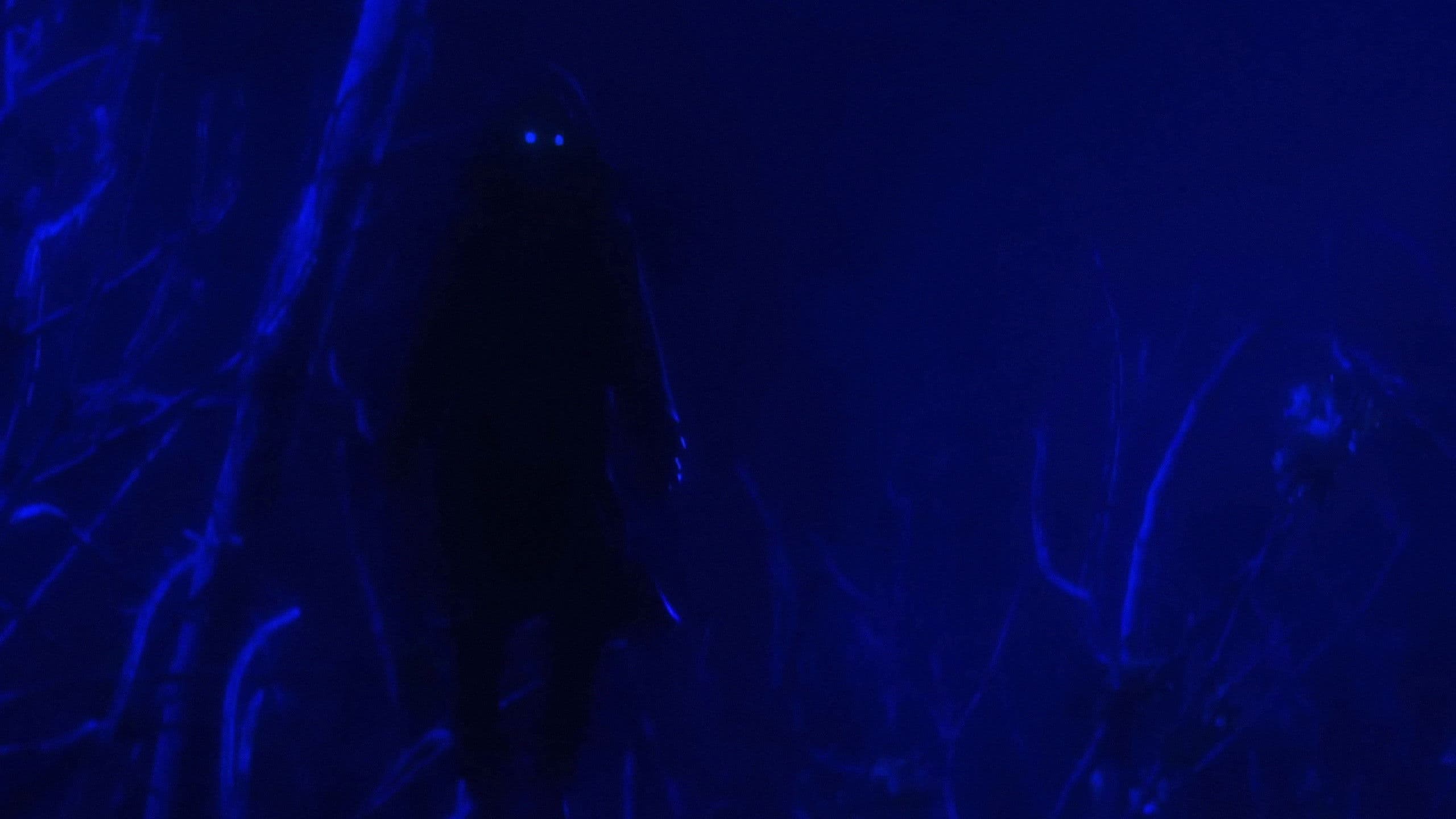 Remember To Enjoy The Light Before It’s Gone