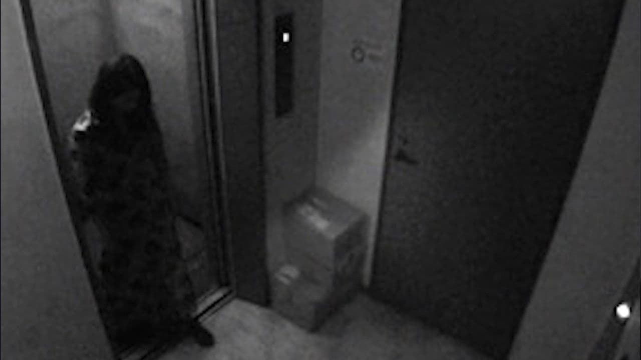 Cursed Psychic Video XXX 4