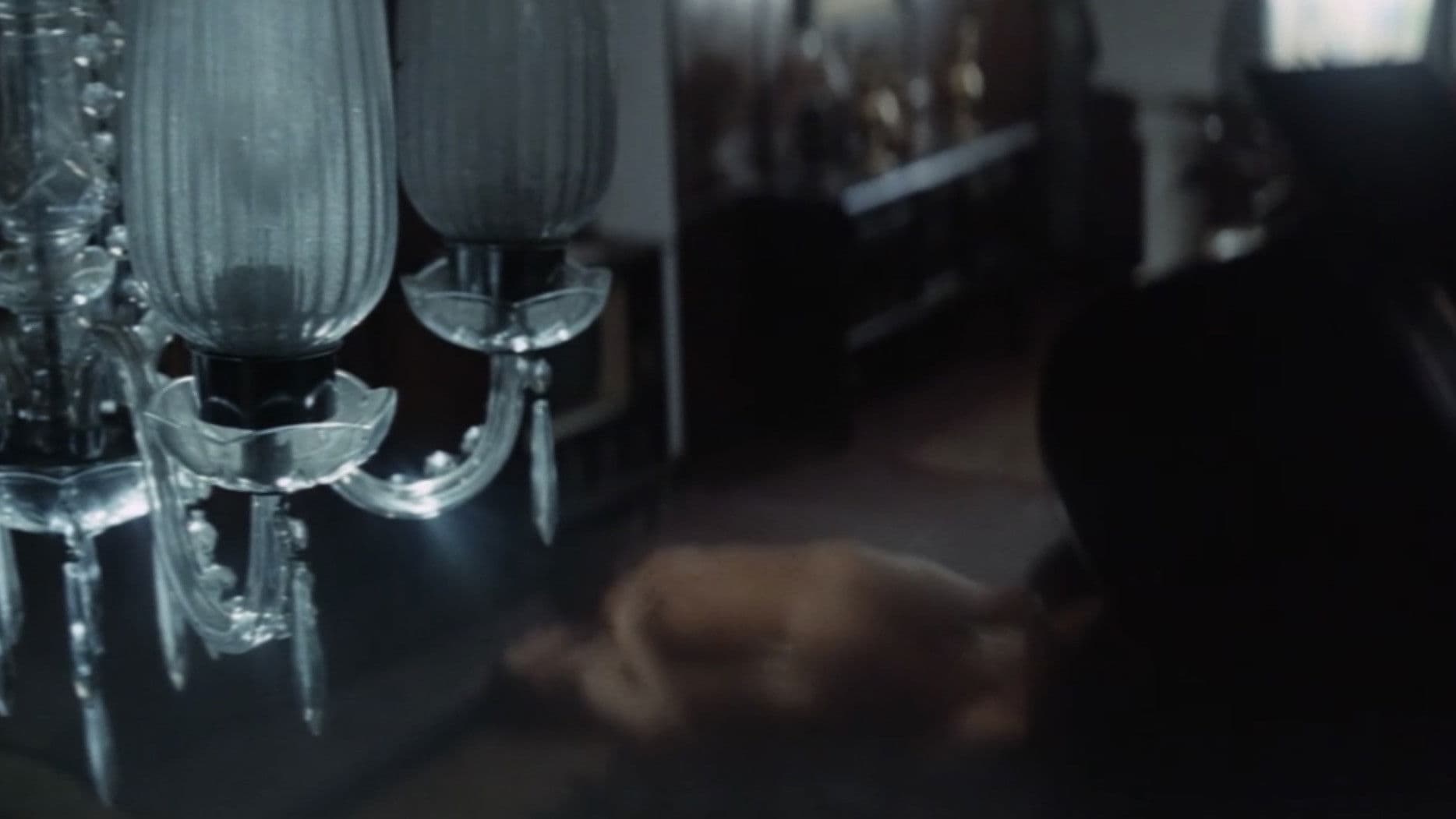 The Shadow on the Wall