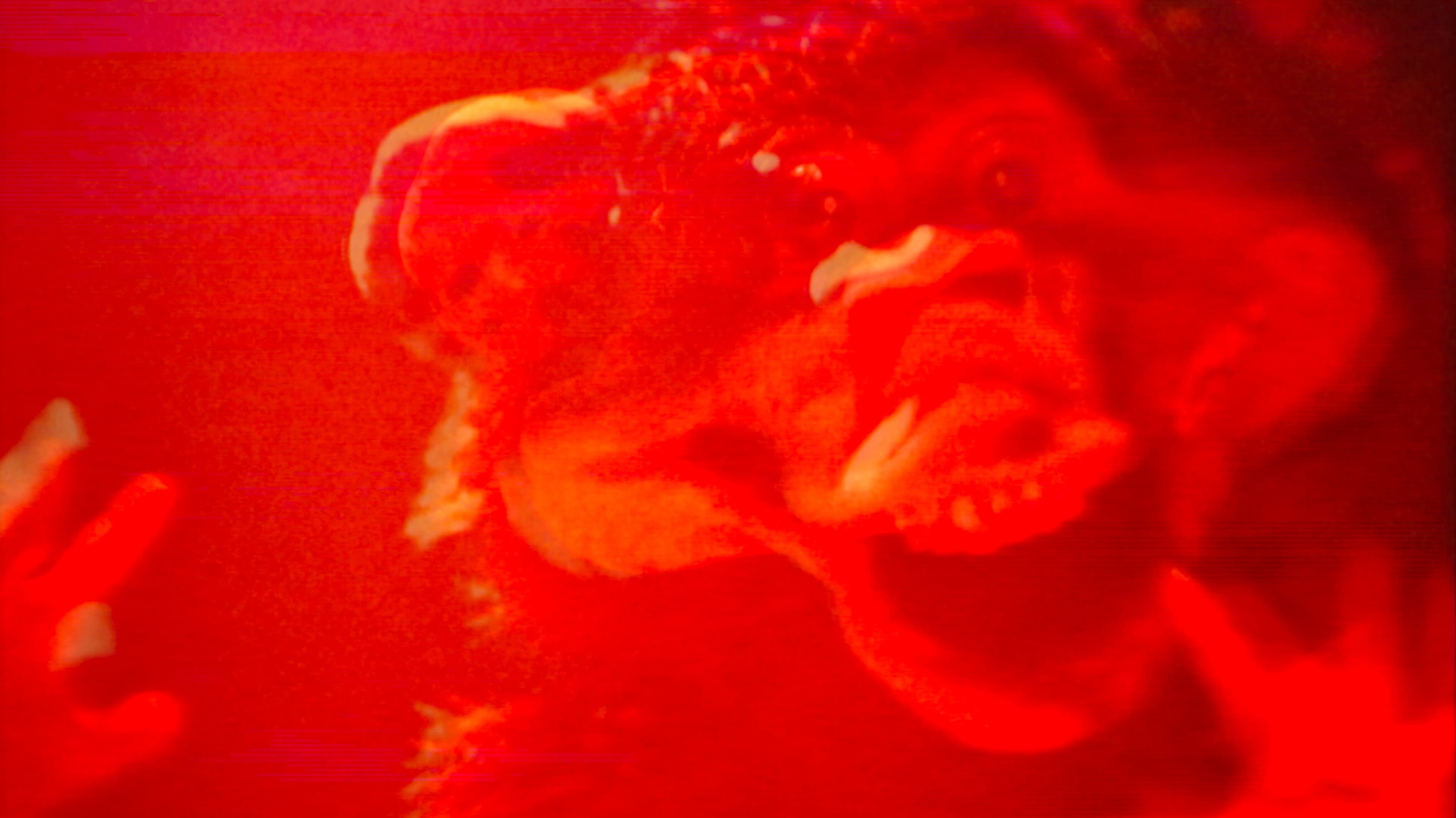 Monkey’s Magic Merry Go Round
