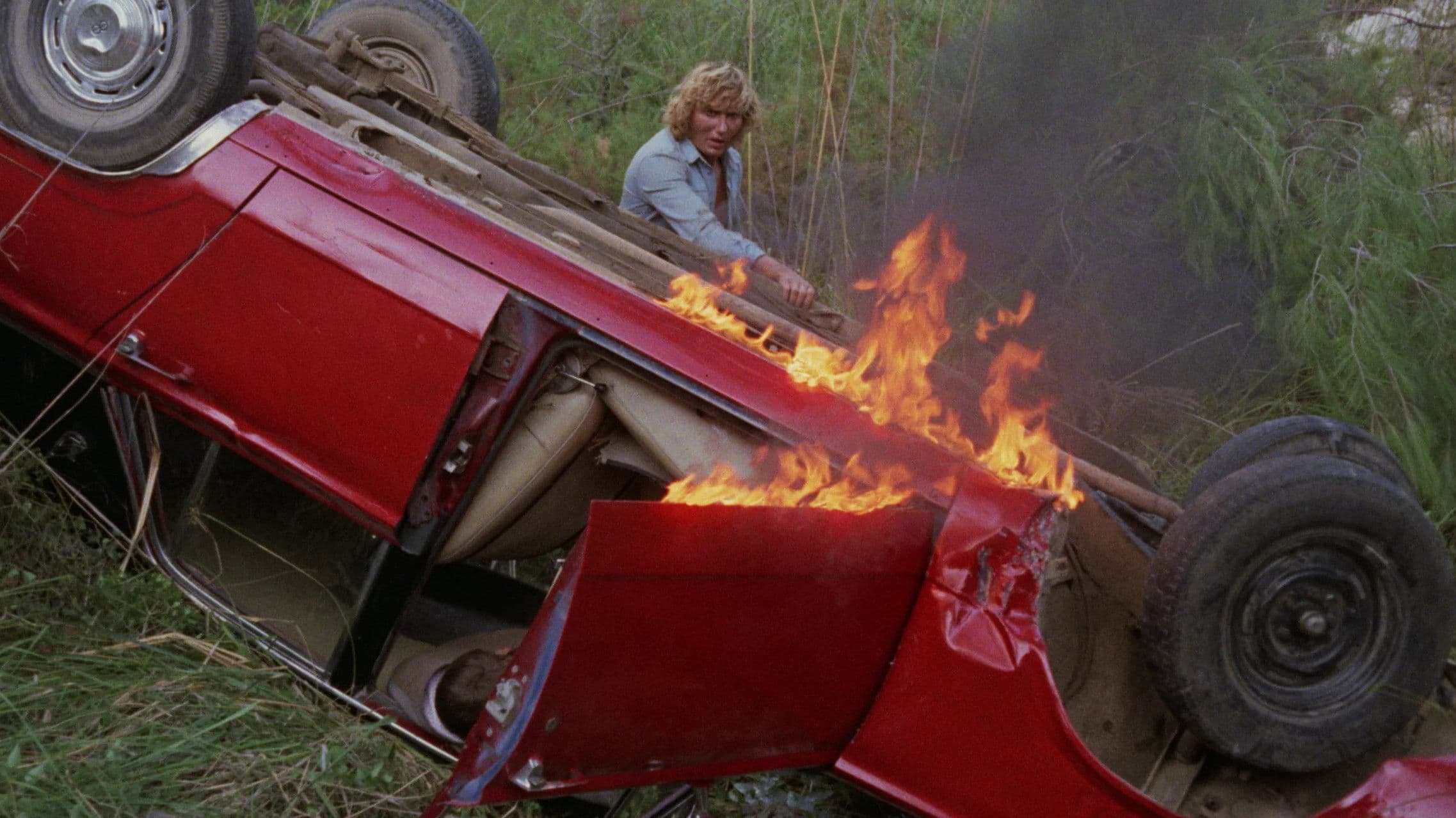 The Fish with the Eyes of Gold