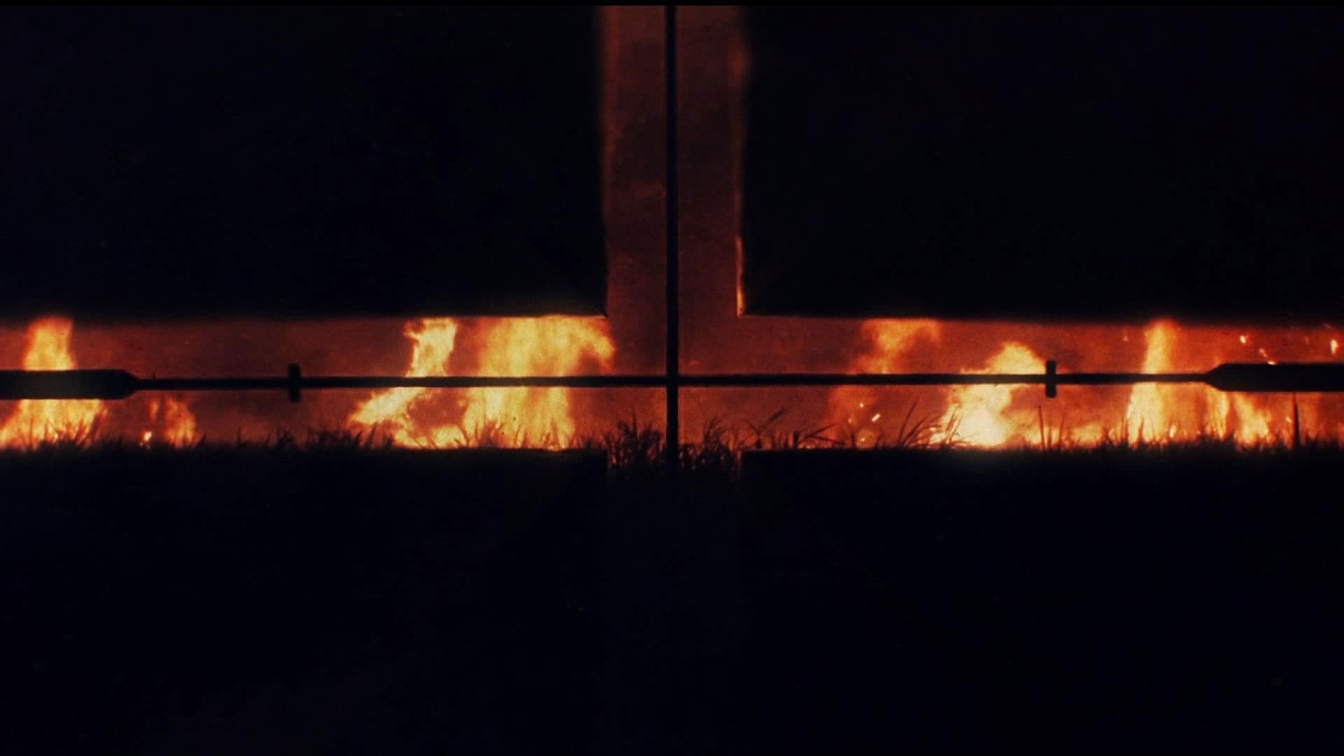 TRUE DARKNESS: DETECTIVES