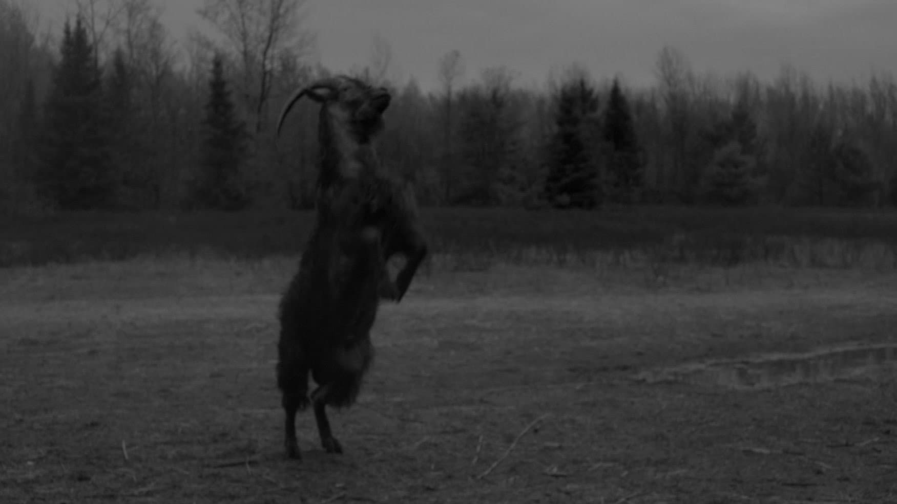 The Witch