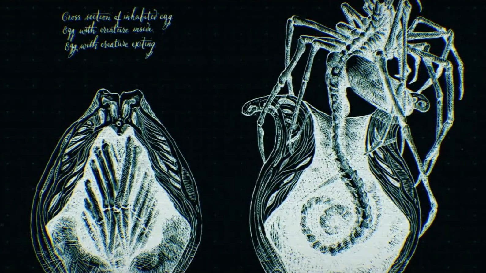 Alien: Covenant - Epilogue: Advent