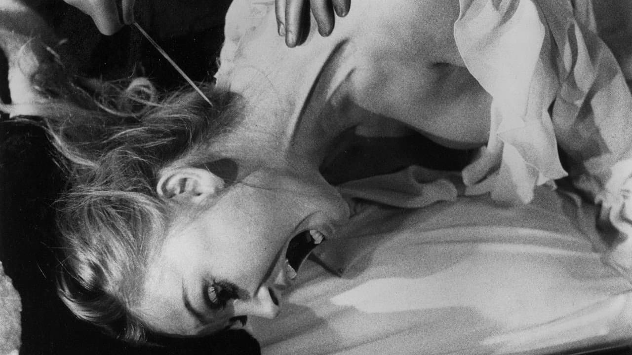 The Black Belly of the Tarantula